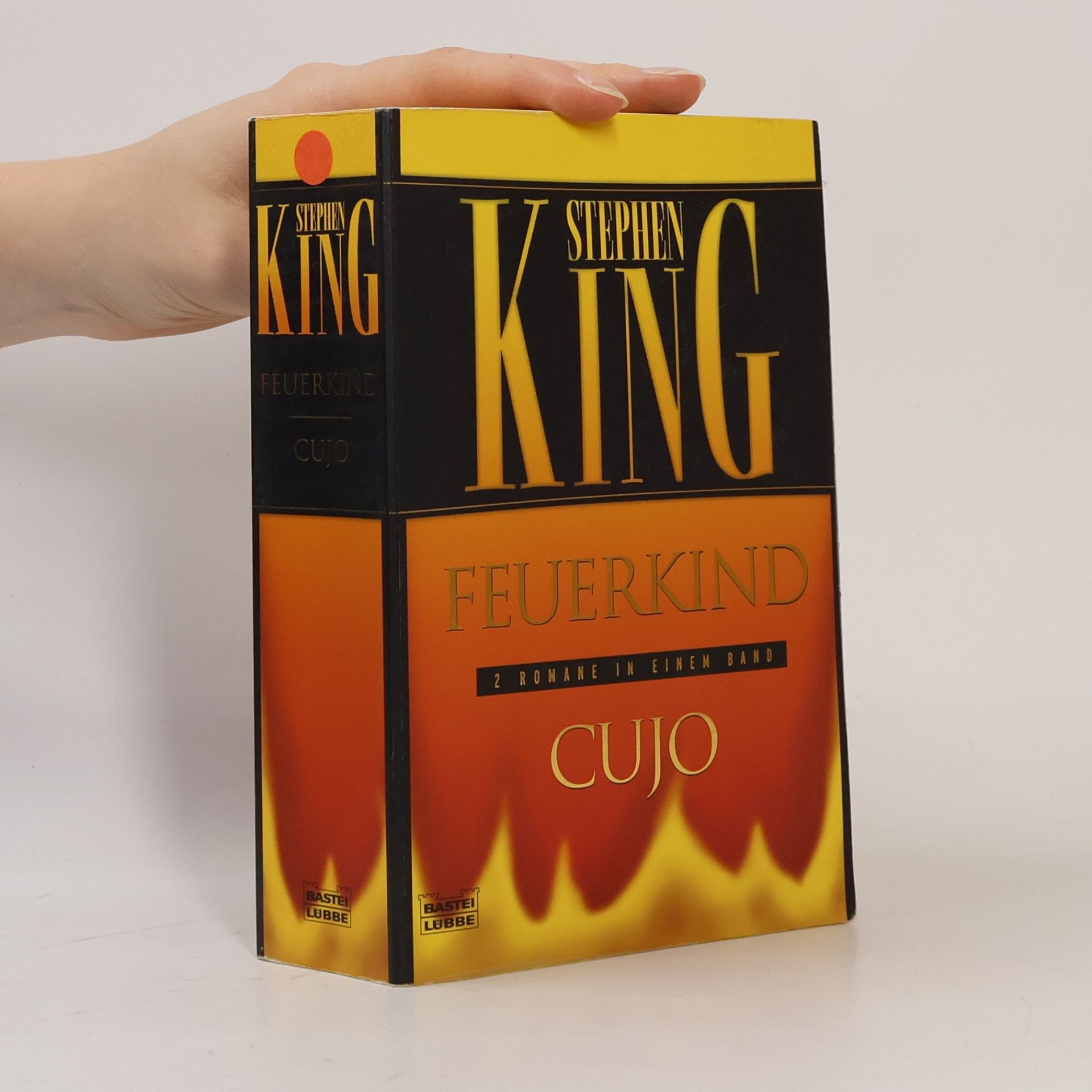 Stephen King Feuerkind. Cujo. Zwei Romane in einem Band