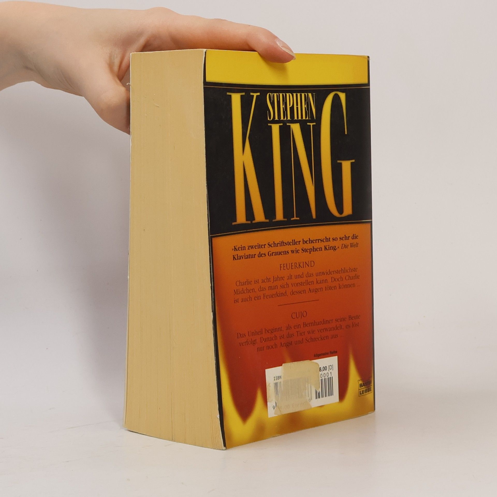 Stephen King Feuerkind. Cujo. Zwei Romane in einem Band