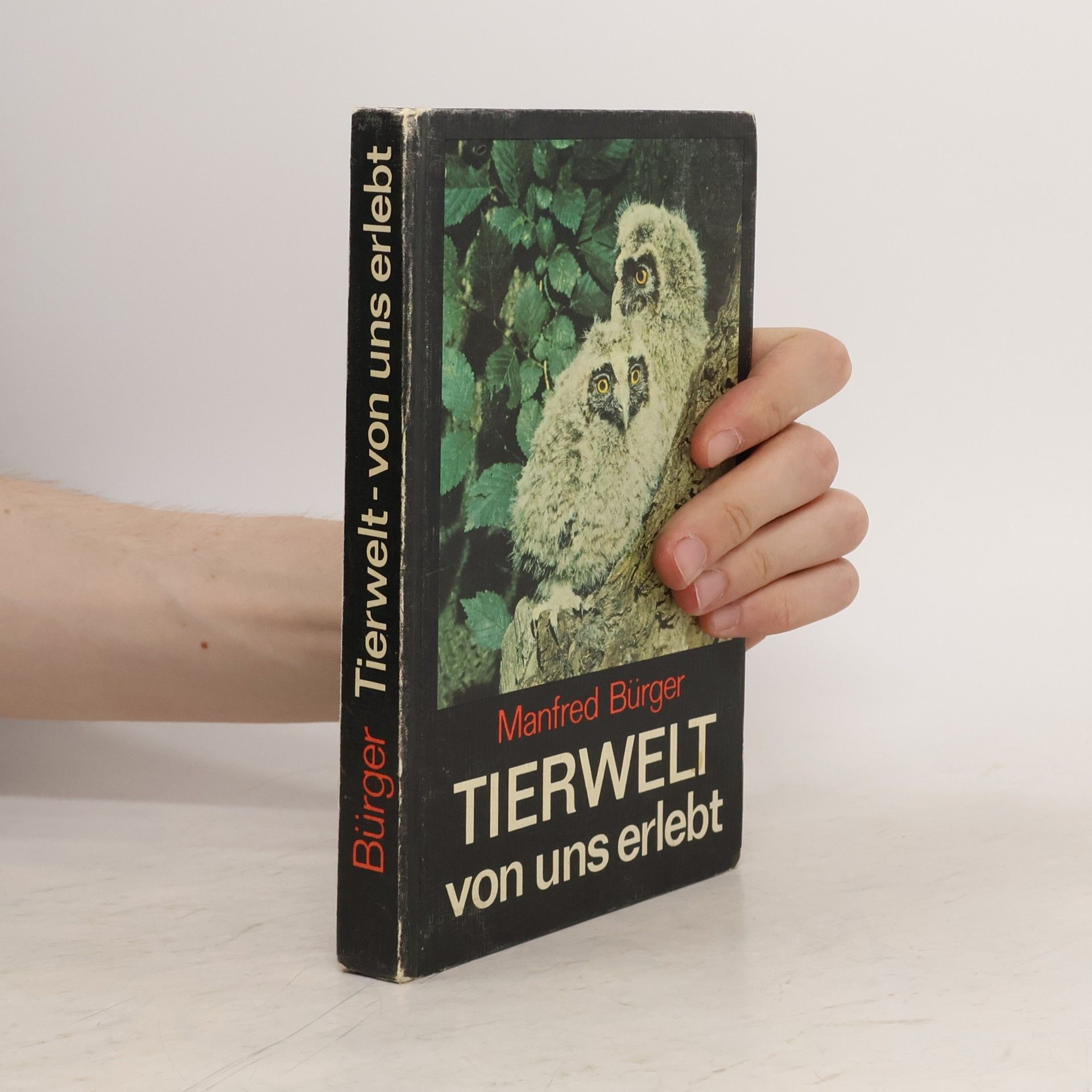 Tierwelt - von uns erlebt