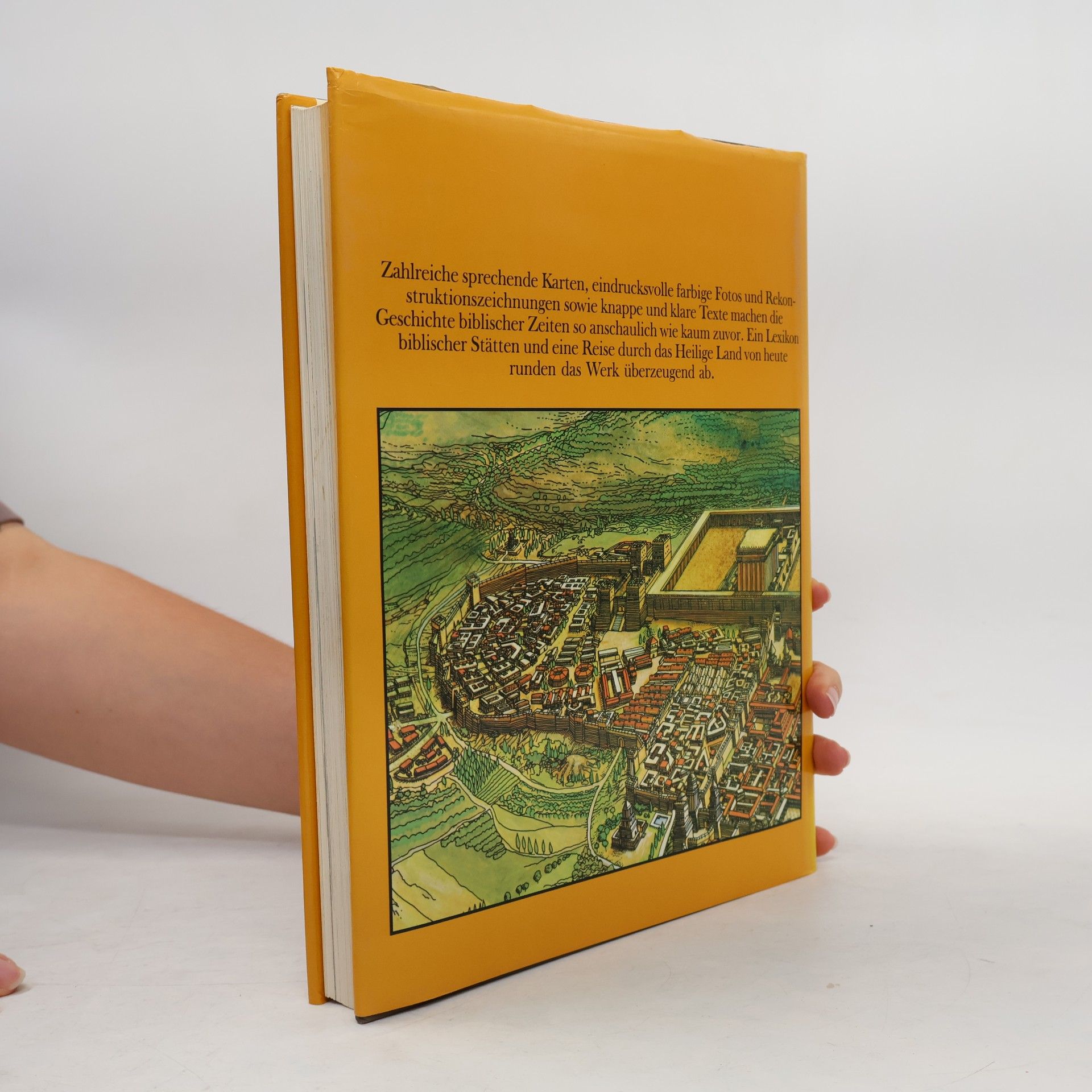 Harry Thomas Frank Biblische Stätten einst und heute
