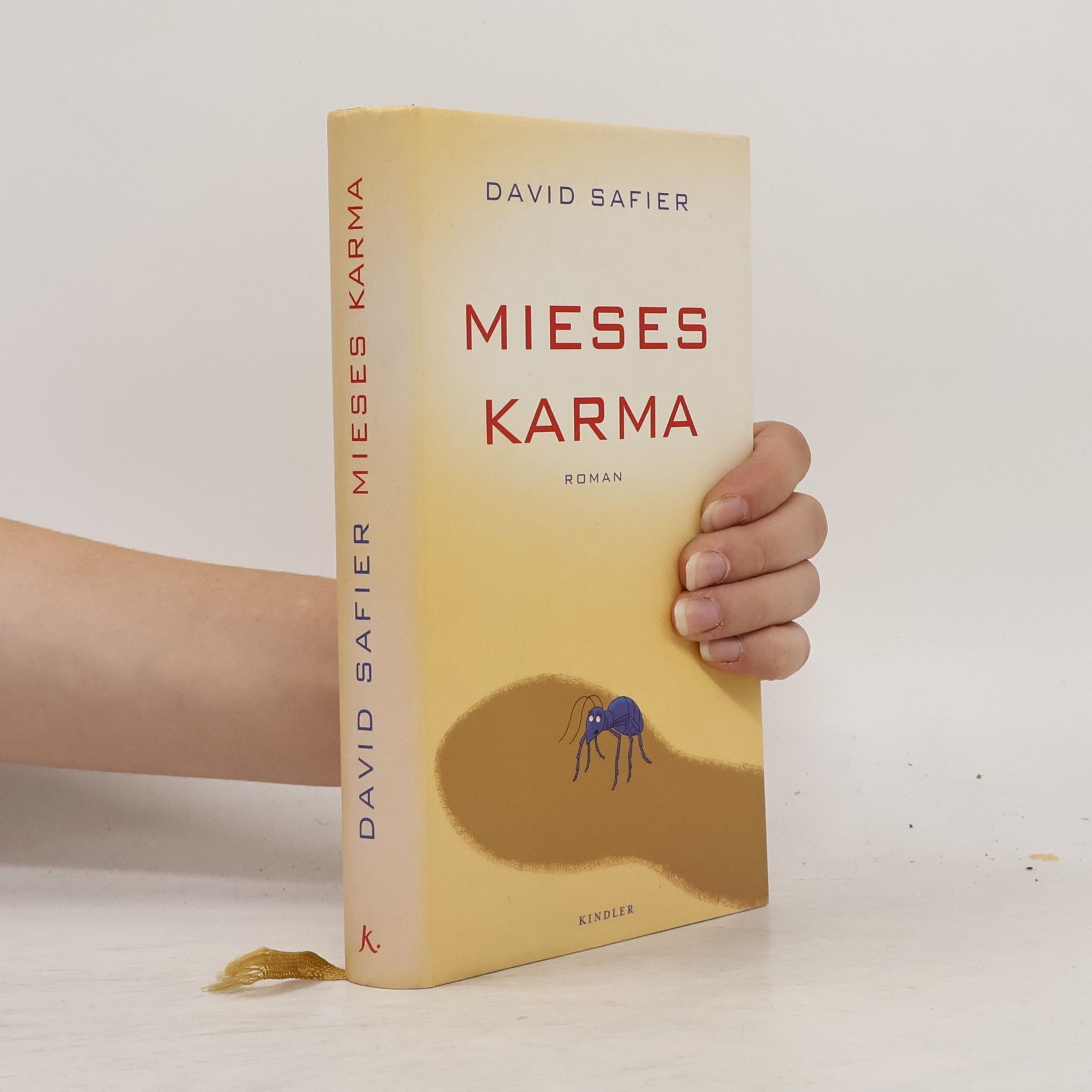 David Safier Mieses Karma