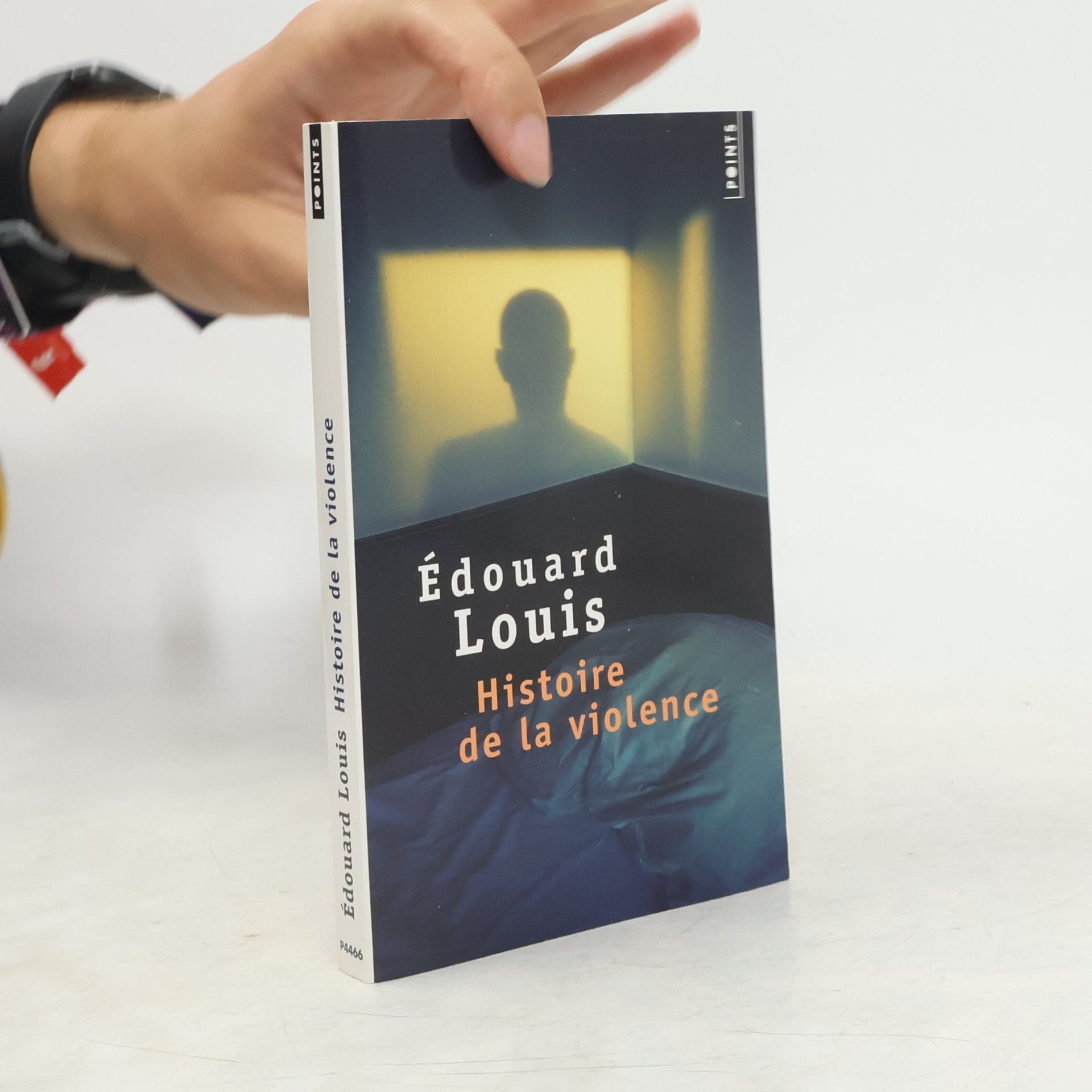 Édouard Louis Histoire de la violence