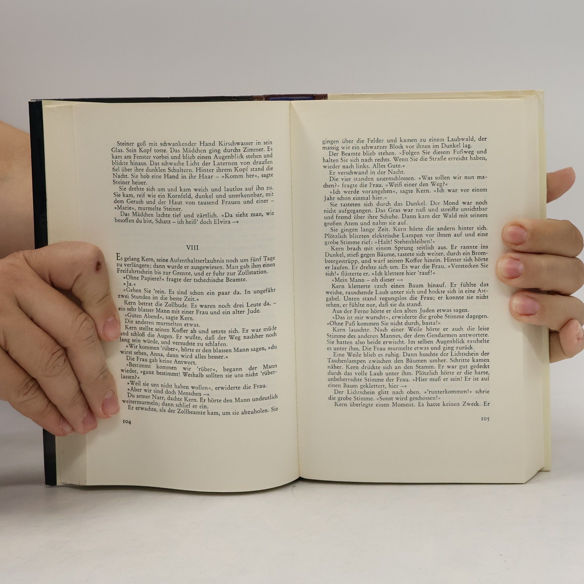 Erich Maria Remarque Liebe Deinen Nächsten