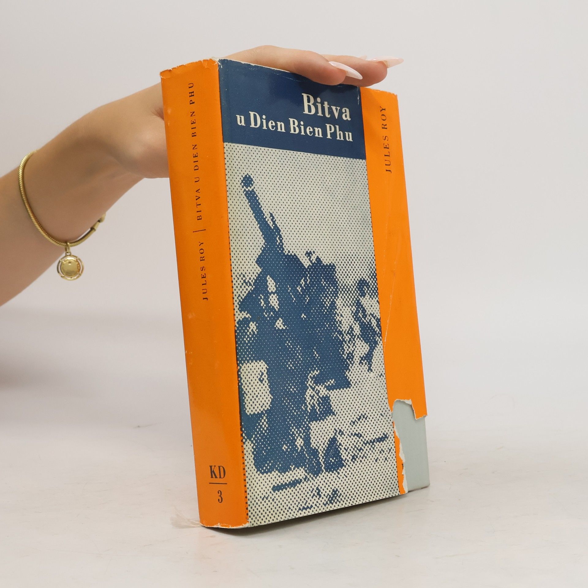 Jules Roy Bitva u Dien Bien Phu