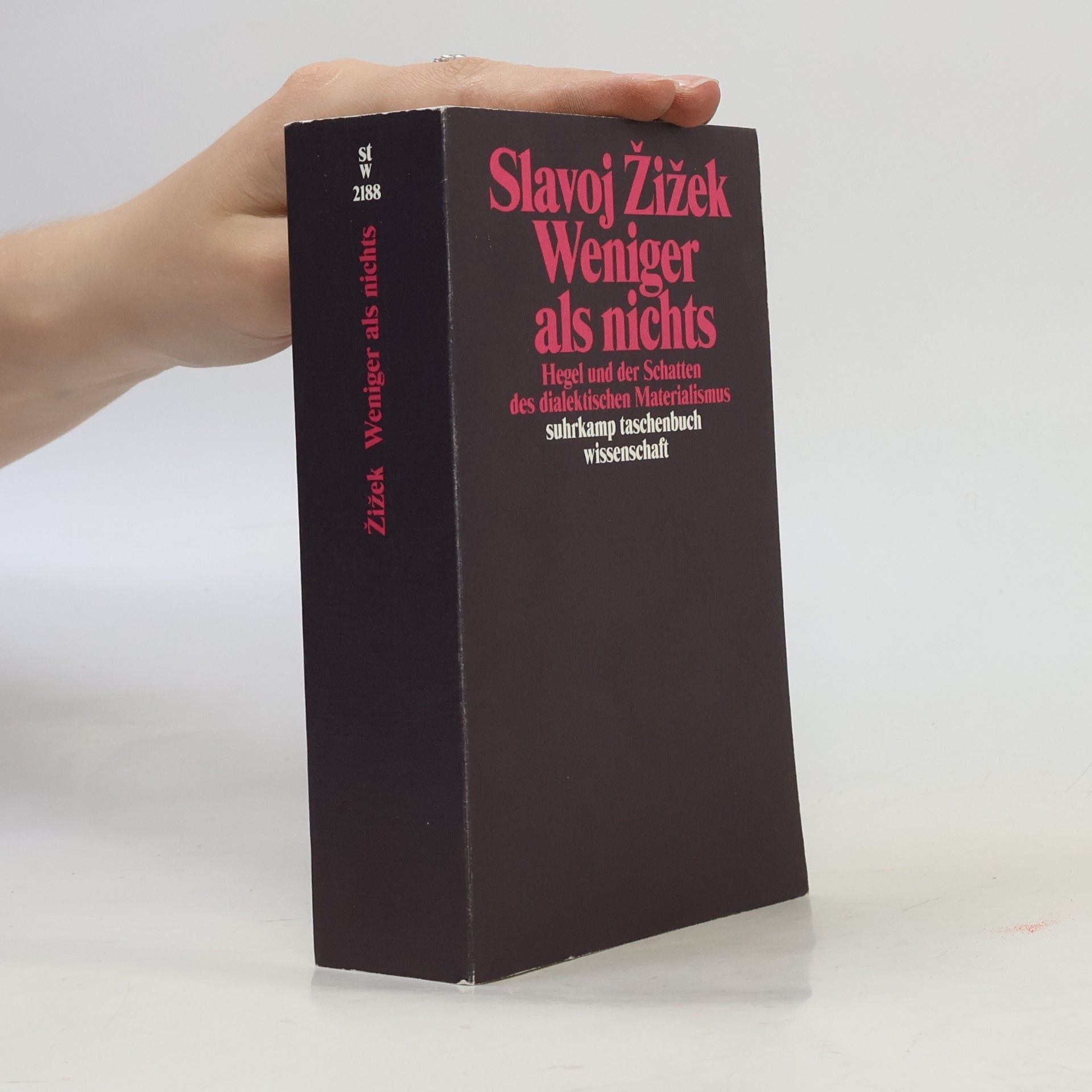 Slavoj Žižek Weniger als nichts