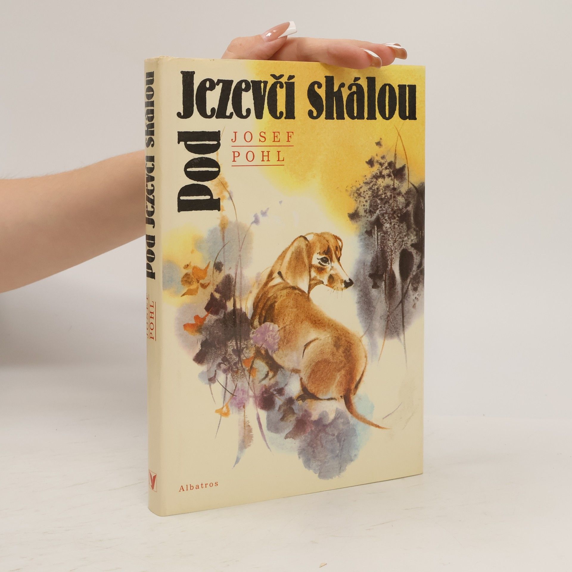 Josef Pohl Pod Jezevčí skálou