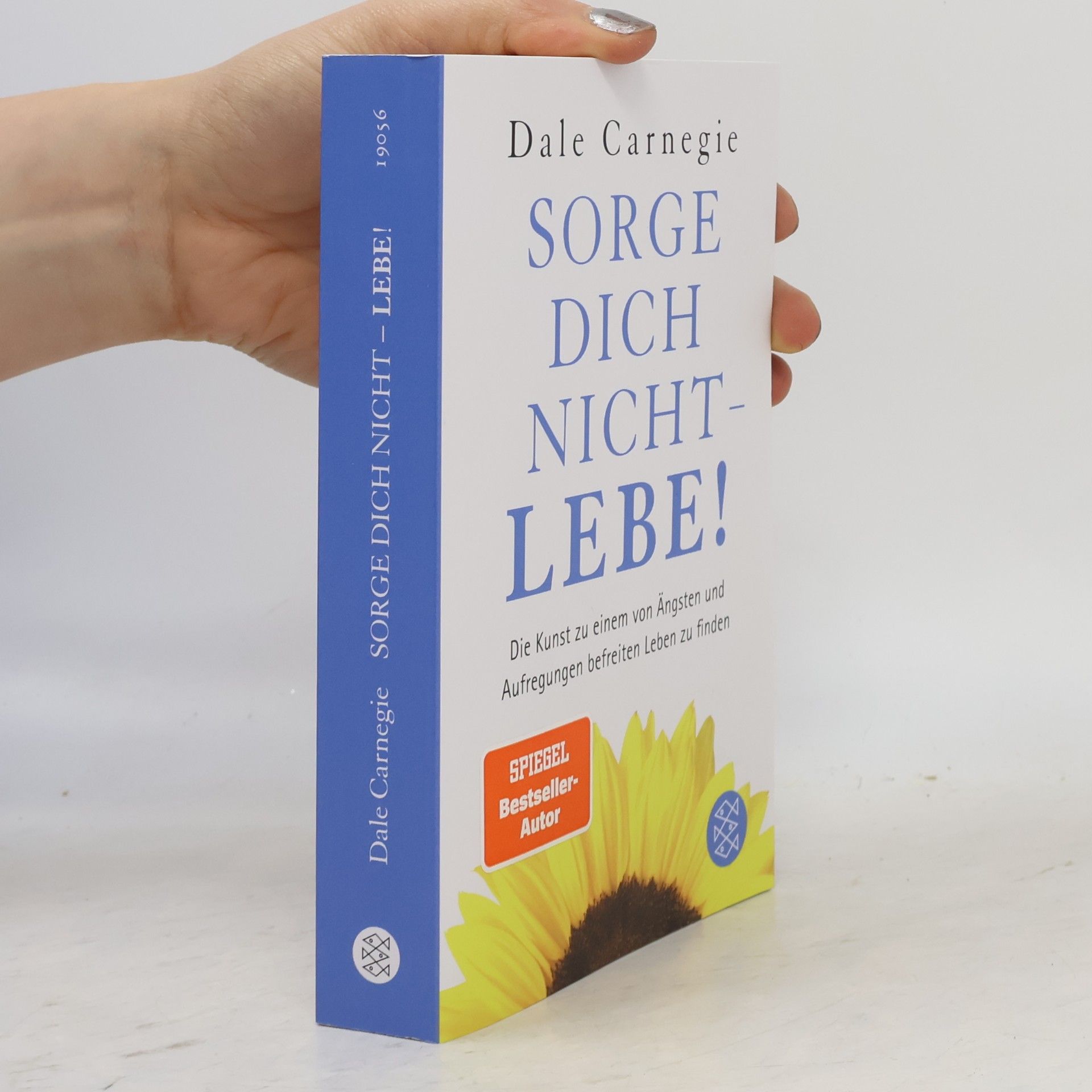 Dale Carnegie Sorge dich nicht - lebe!