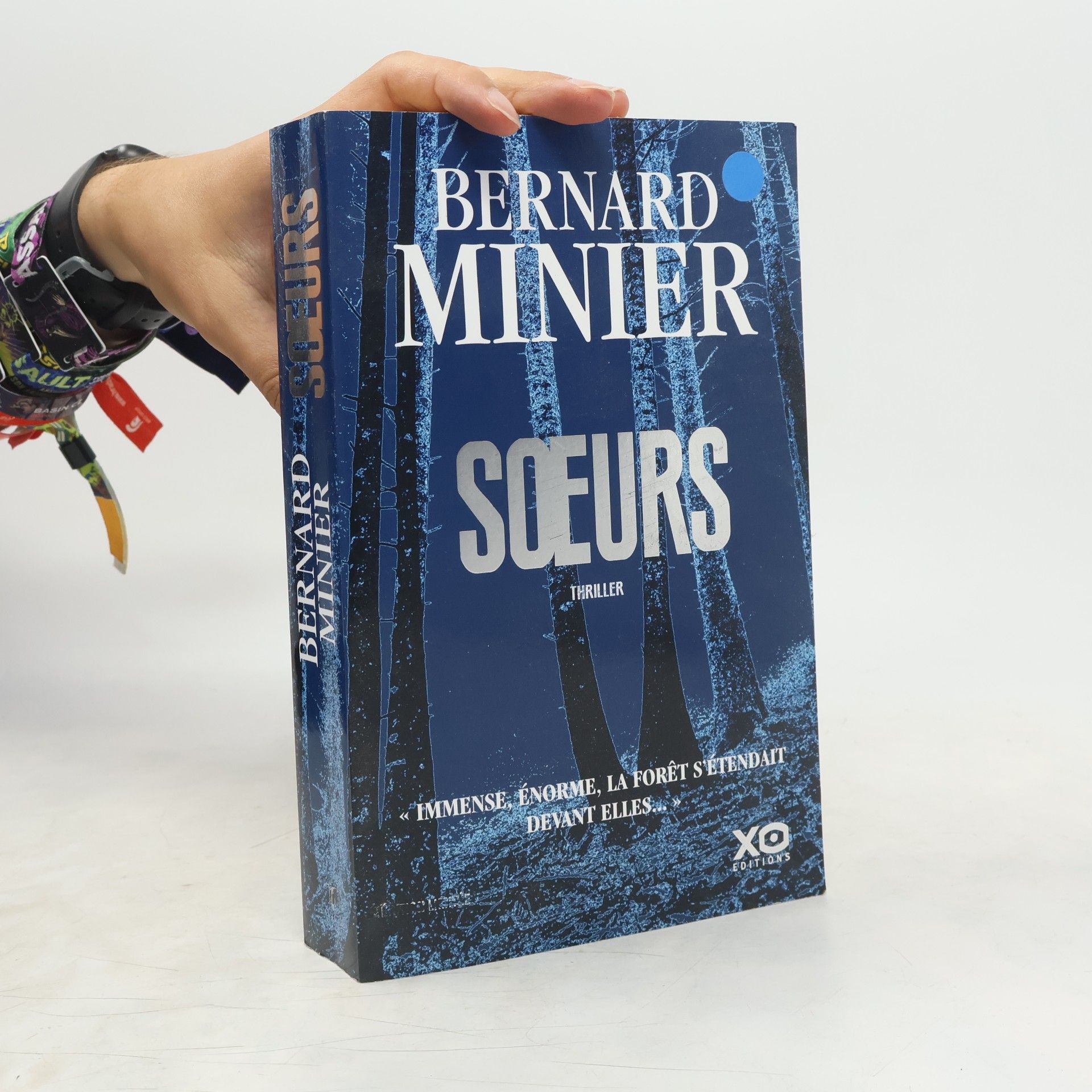 Bernard Minier Soeurs