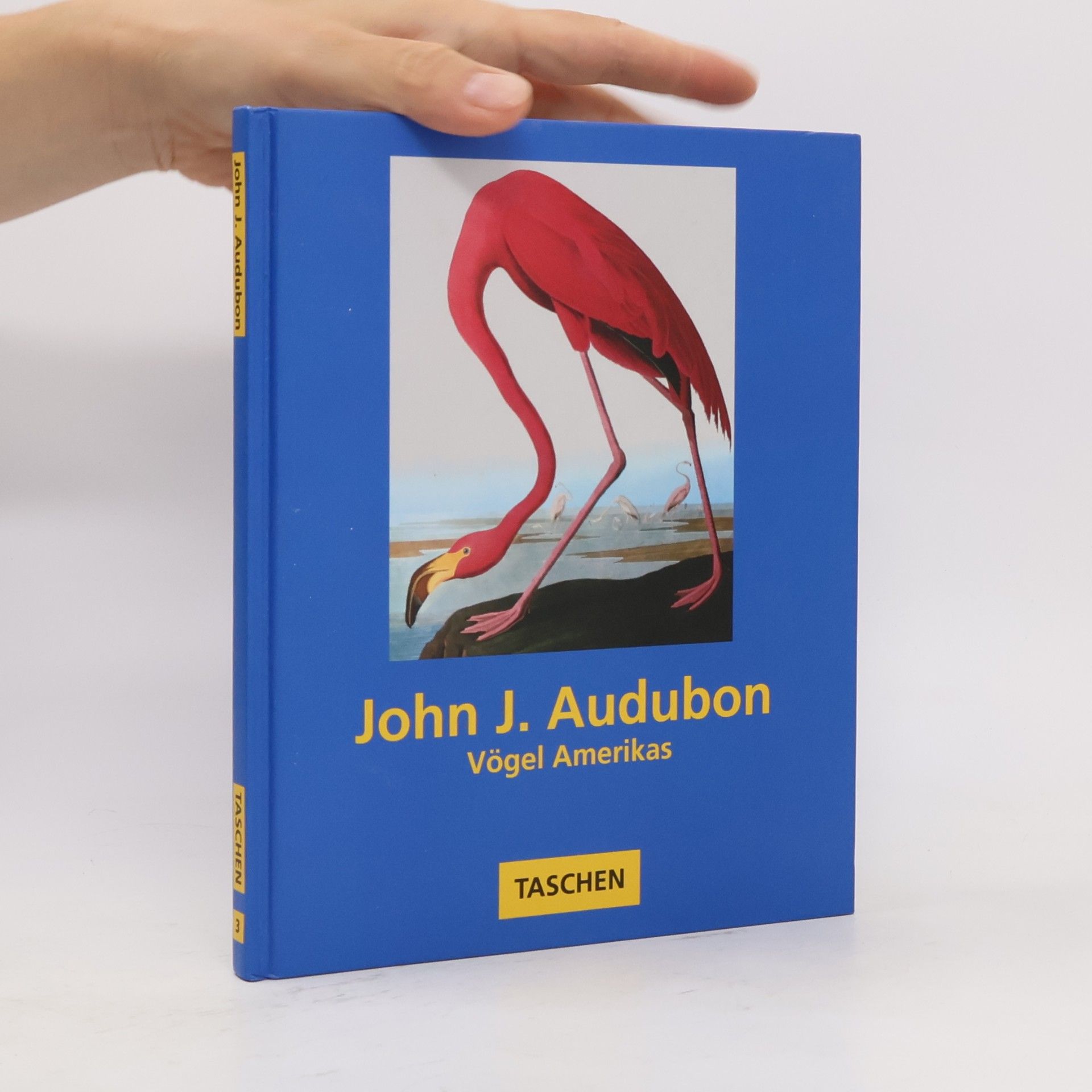 John James Audubon John James Audubons Vögel Amerikas