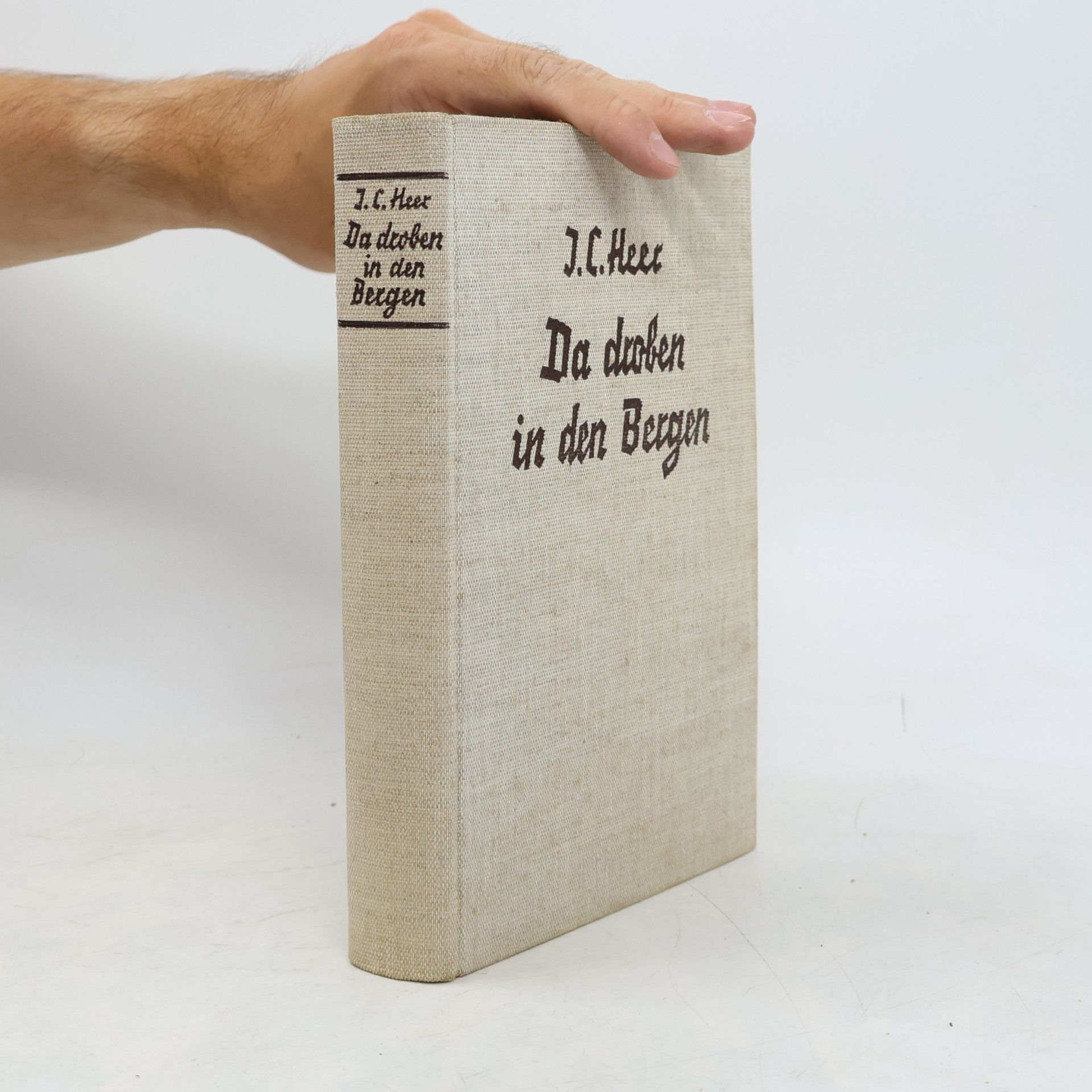 J. C. Heer Da droben in den Bergen