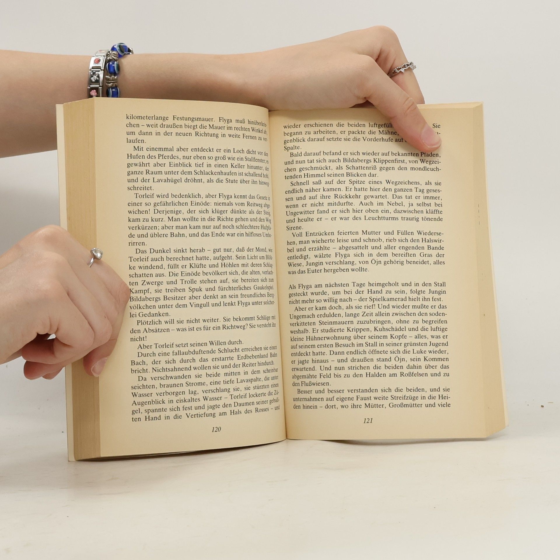 Autorenkollektiv Die schönsten Pferde geschichten der Welt