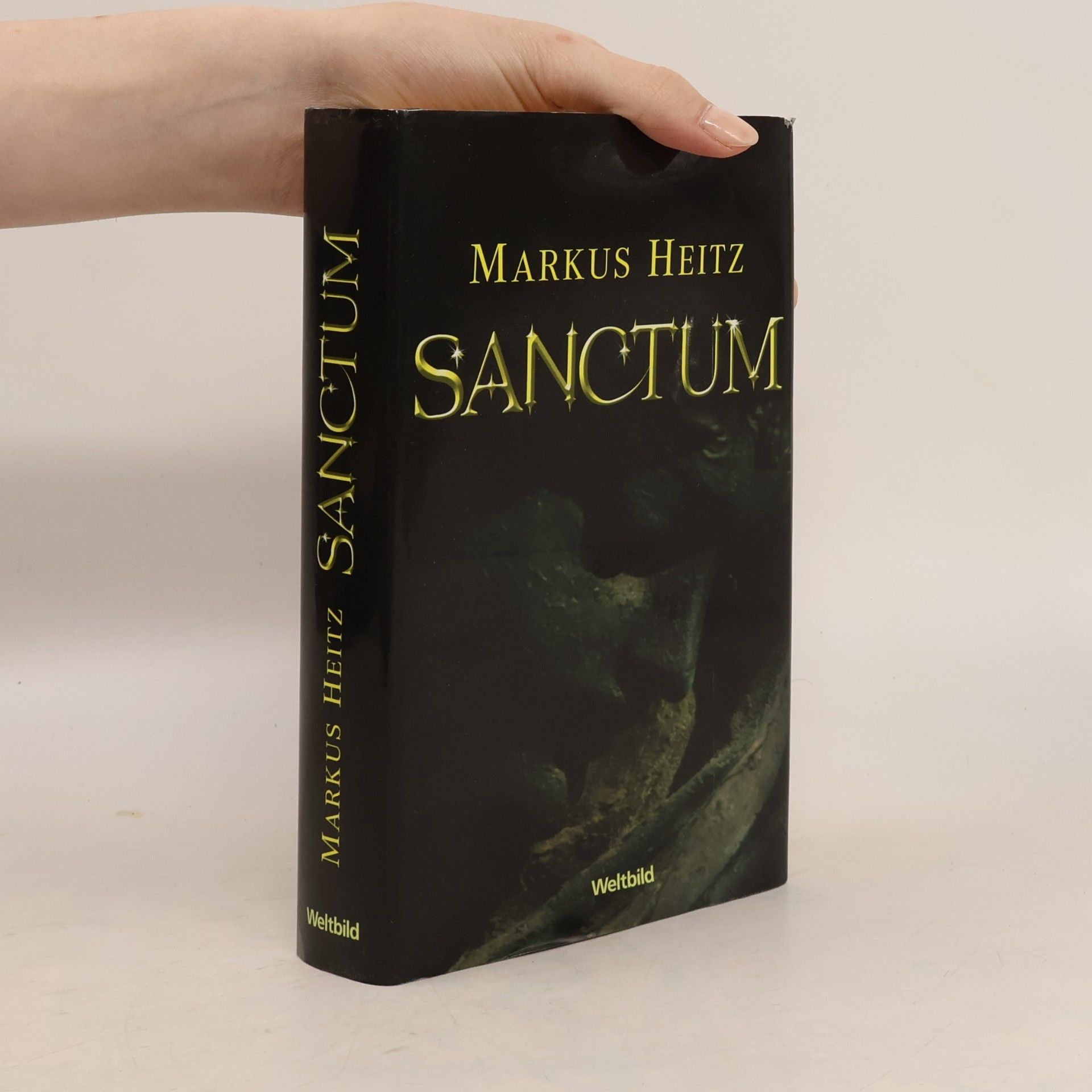 Markus Heitz Sanctum