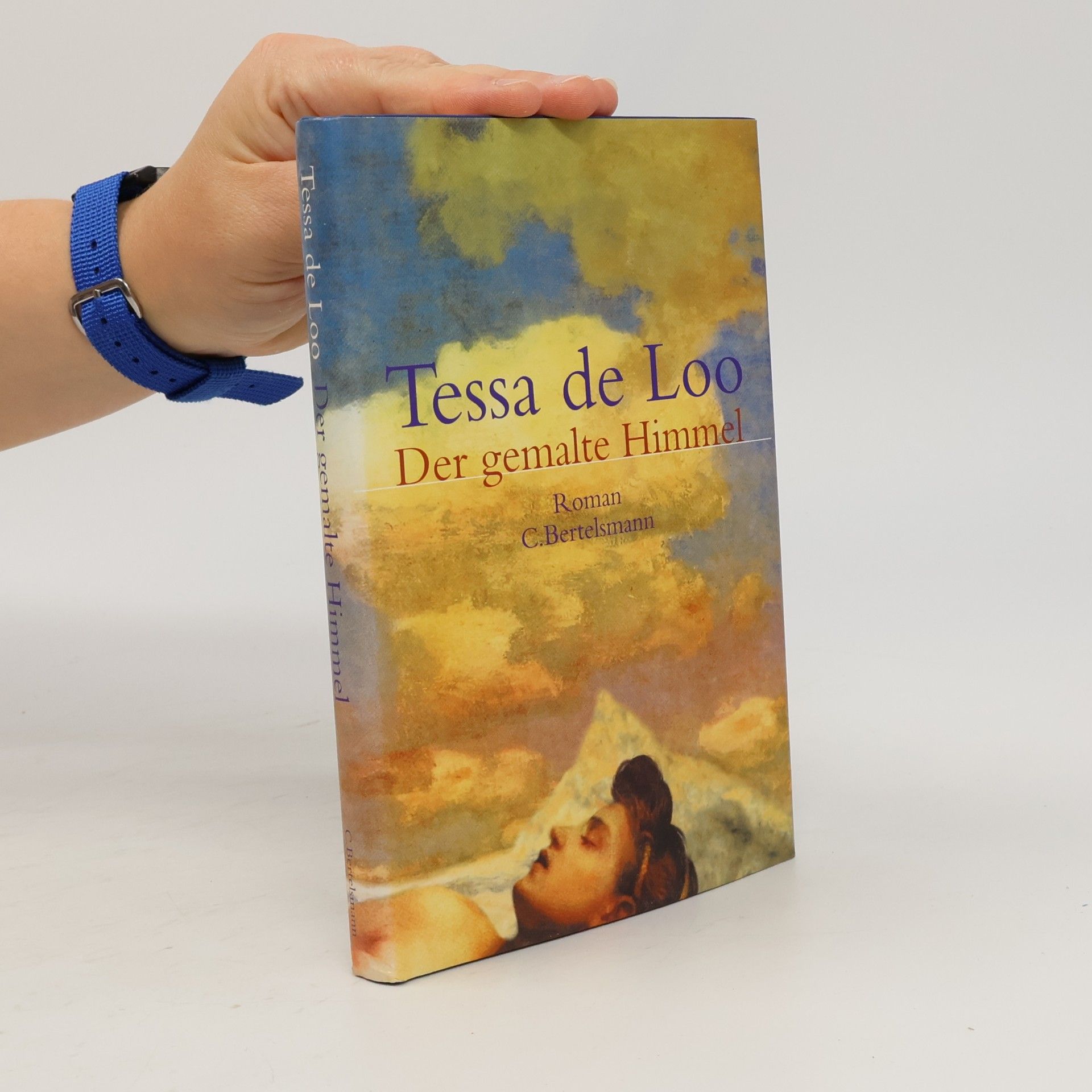 Tessa de Loo Der gemalte Himmel