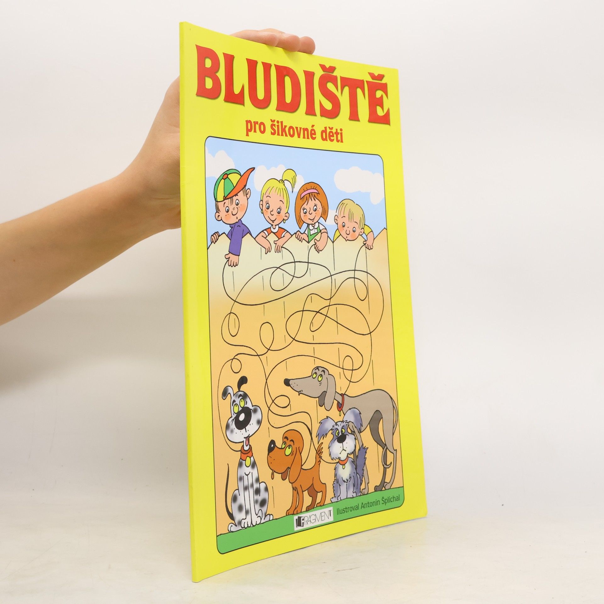 AA.VV. Bludiště pro šikovné děti