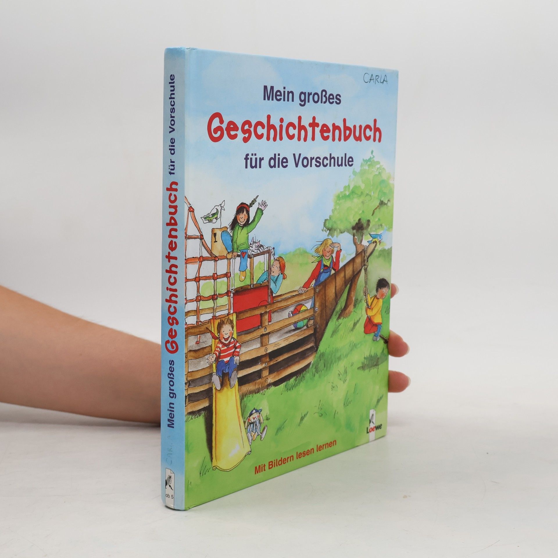 Autorenkollektiv Mein großes Geschichtenbuch für die Vorschule