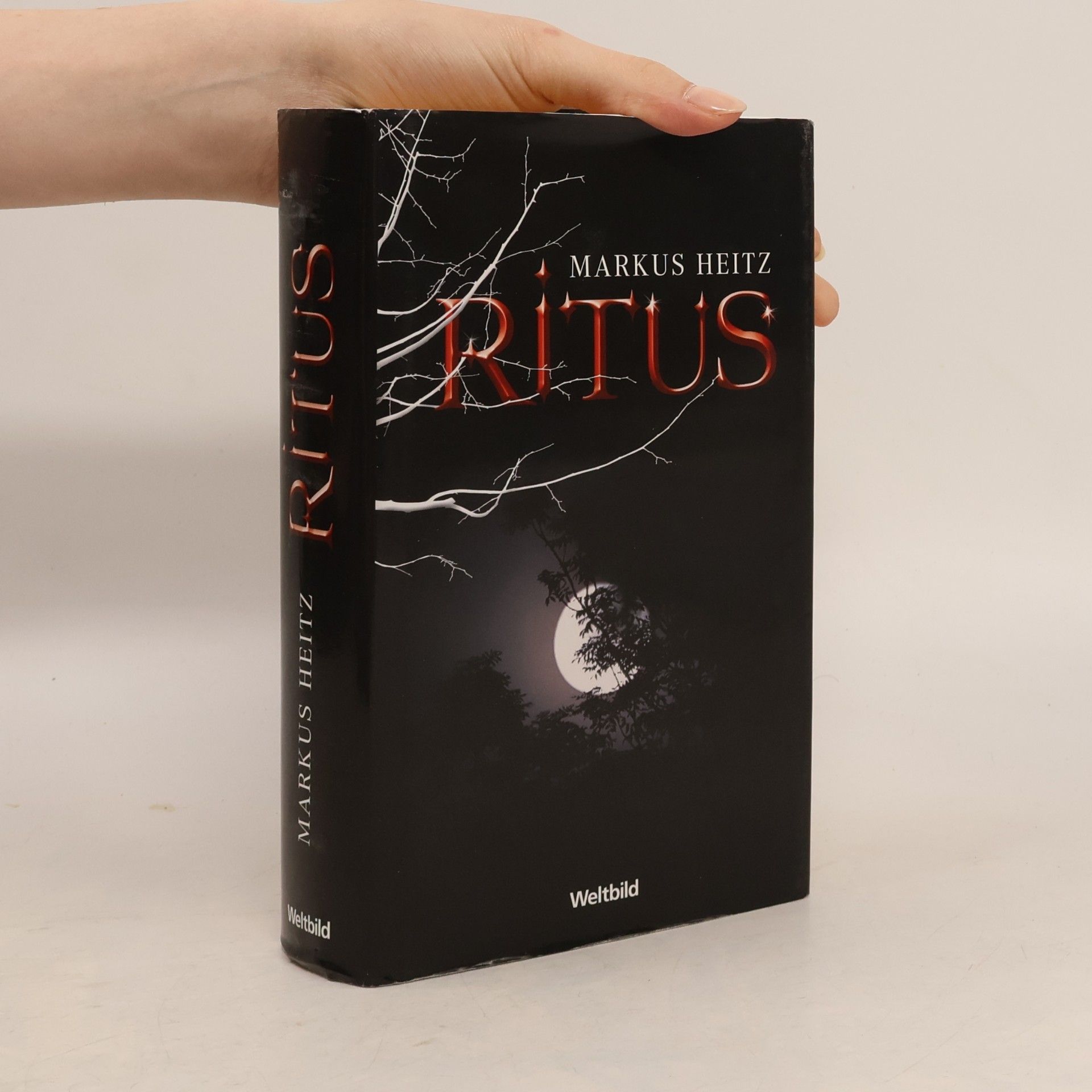 Markus Heitz Ritus
