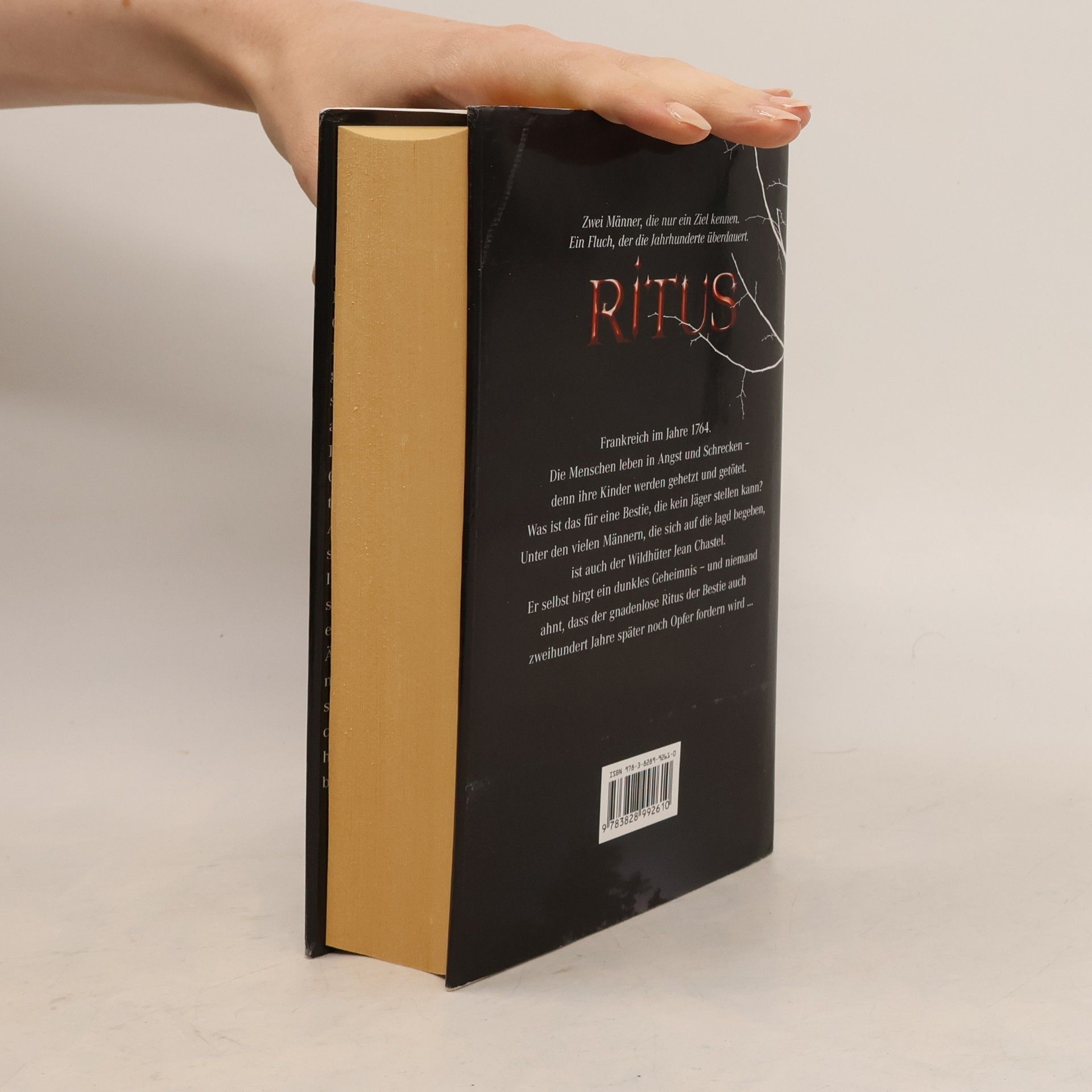 Markus Heitz Ritus