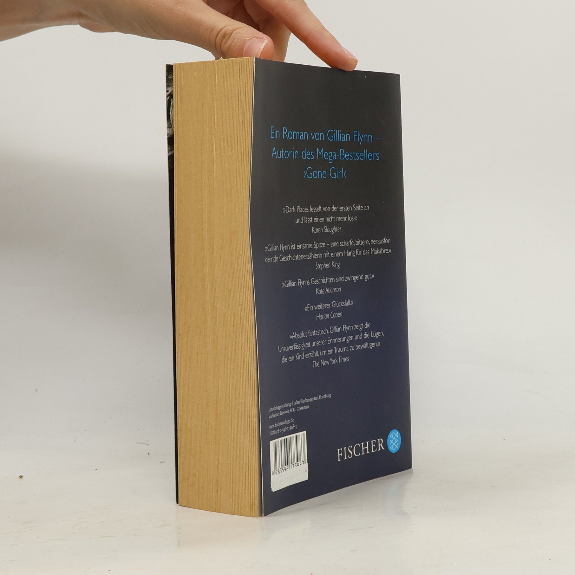 Gillian Flynn Dark Places - Gefährliche Erinnerung