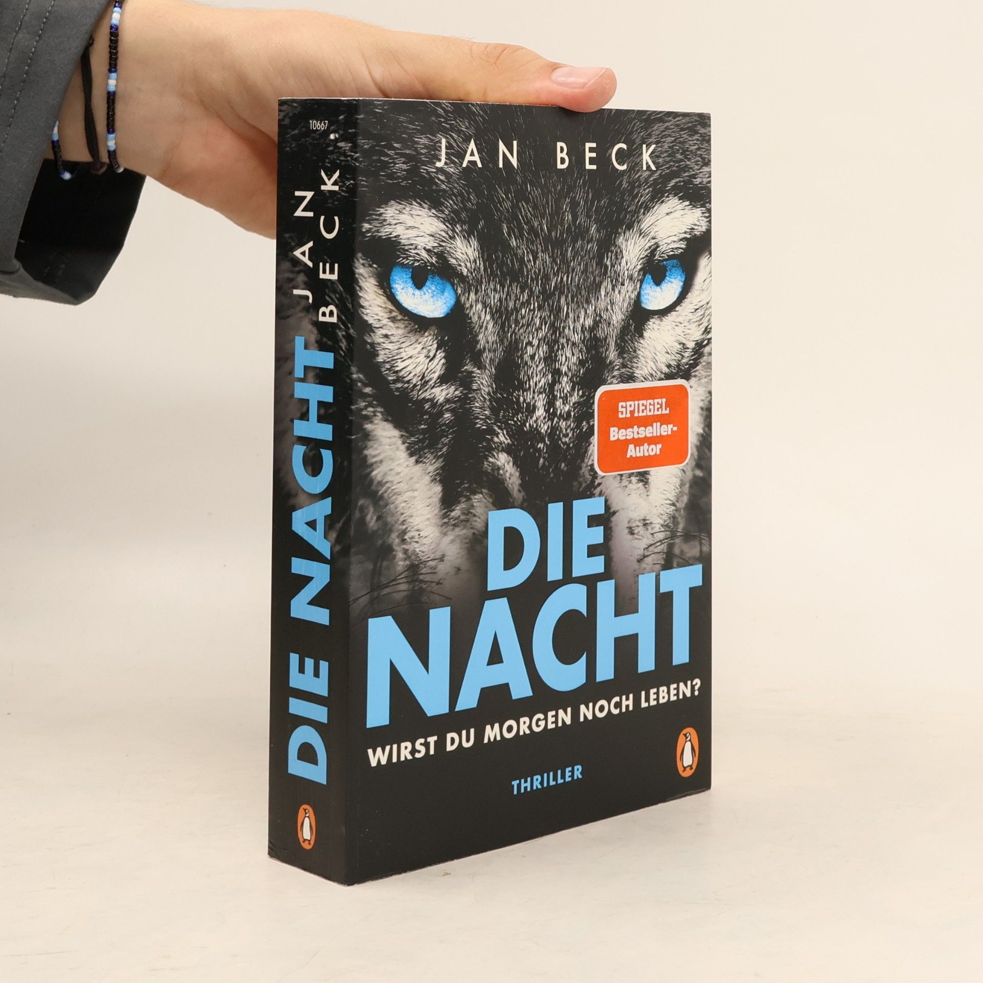 Jan Beck Die Nacht - wirst du morgen noch leben?