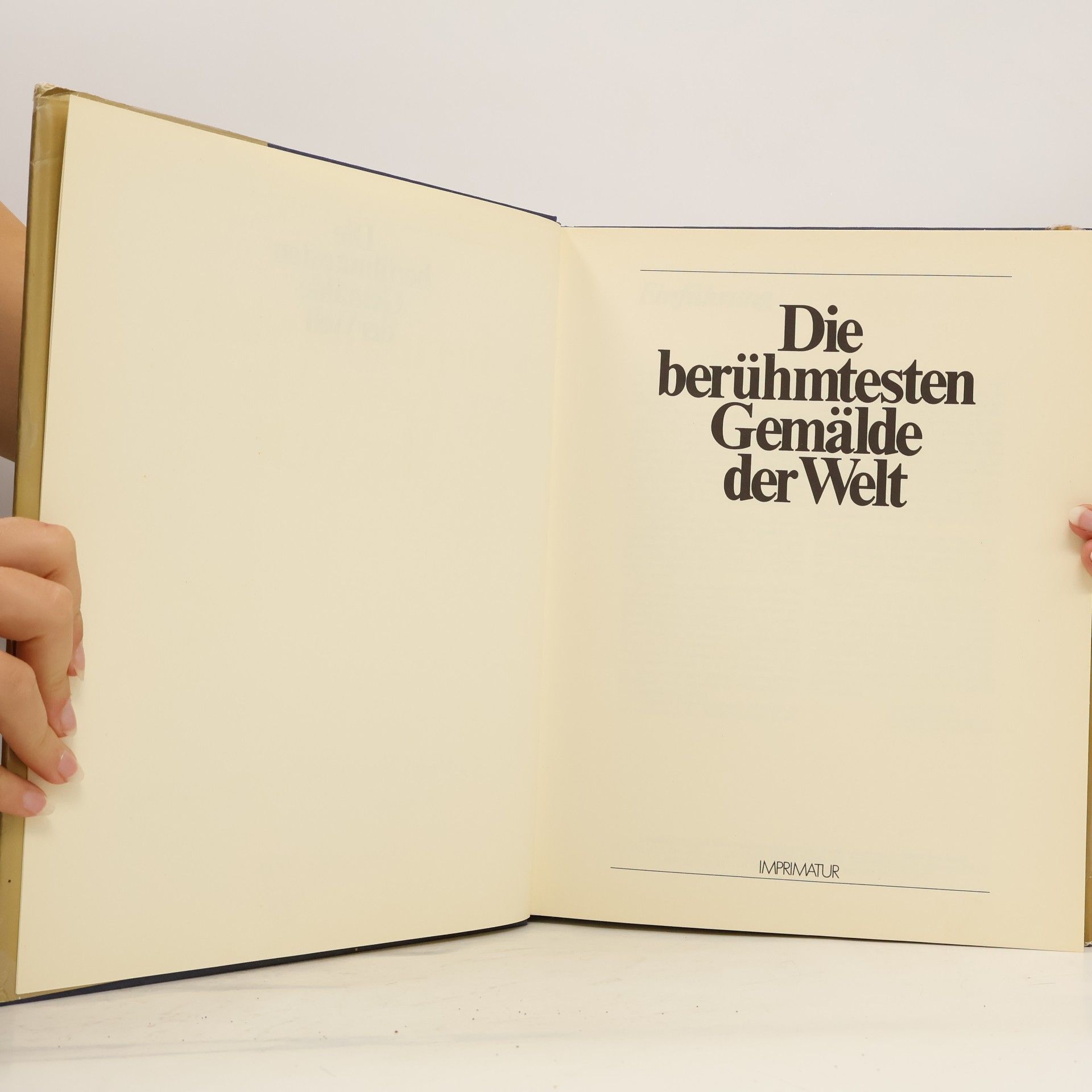 Kolektiv autorů Die berühmtesten Gemälde der Welt