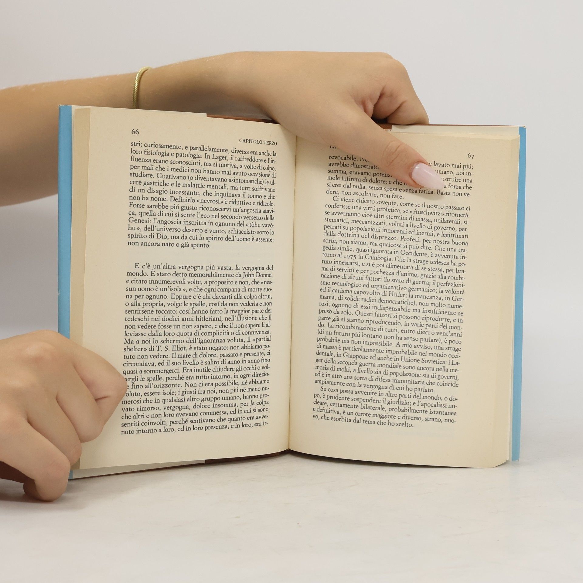 Primo Levi I sommersi e i salvati