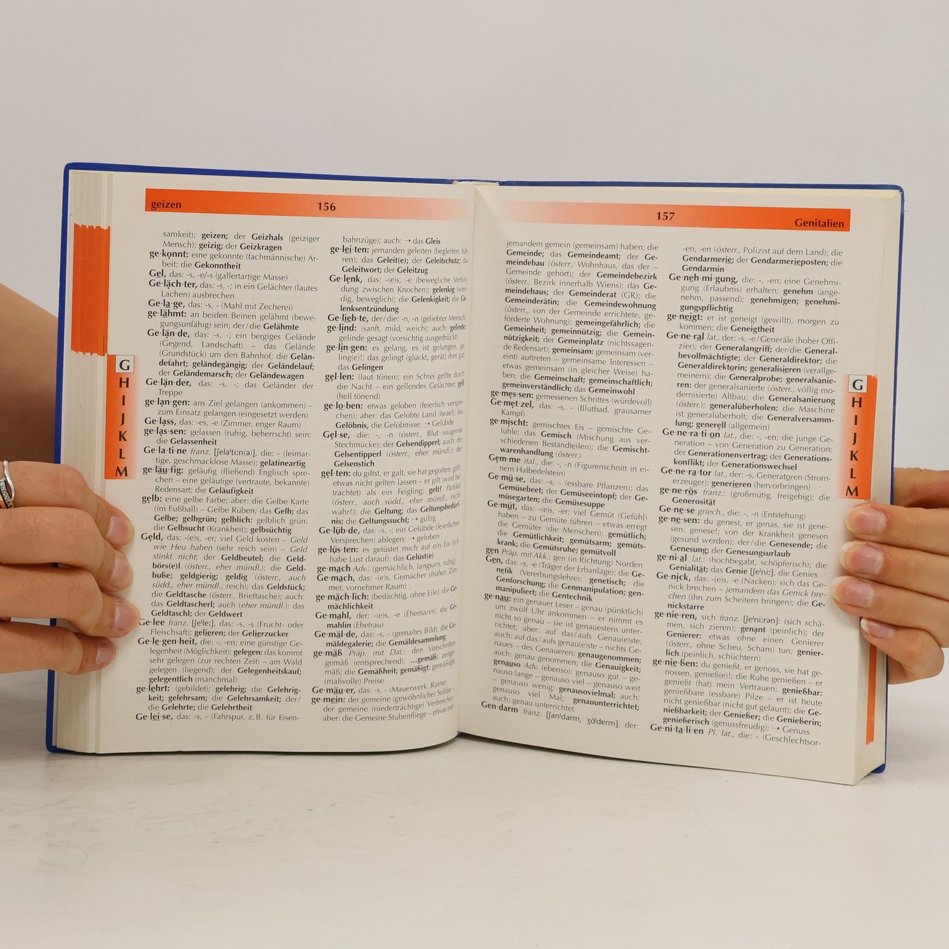 Josef Greil Wortprofi - Schulwörterbuch für Österreich