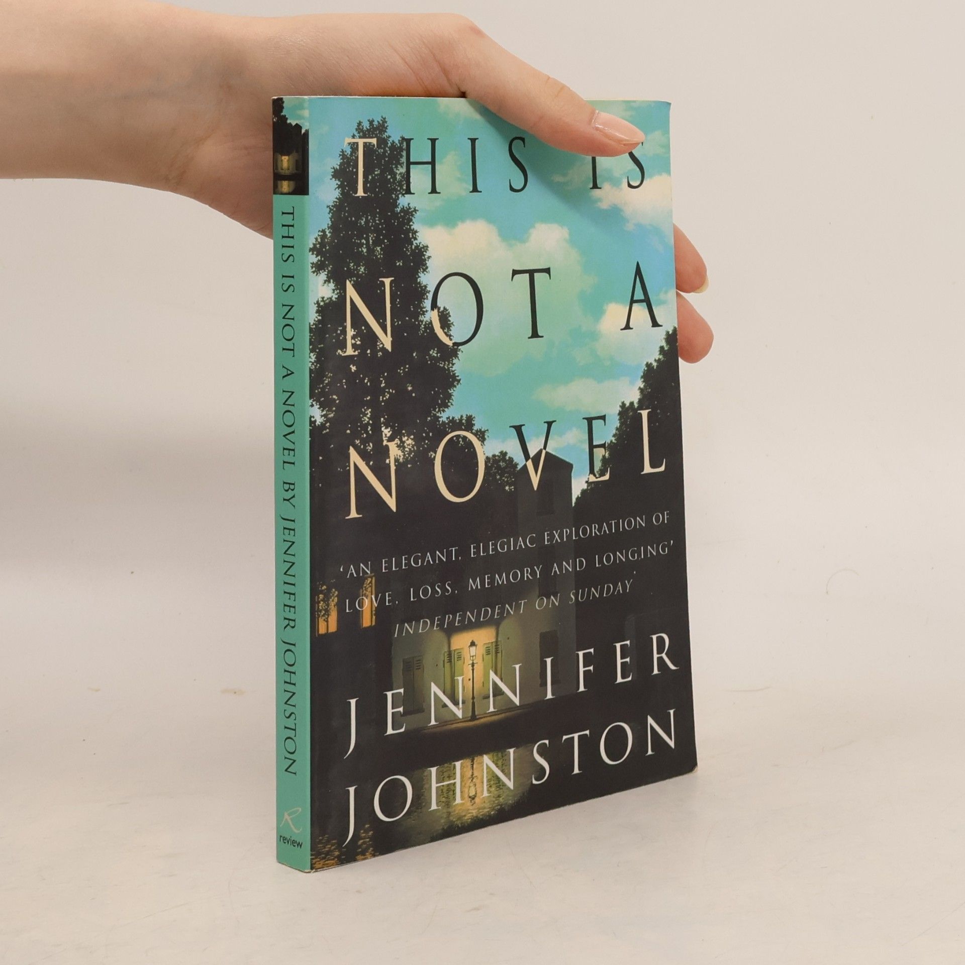 Jennifer Johnston This Is Not a Novel
