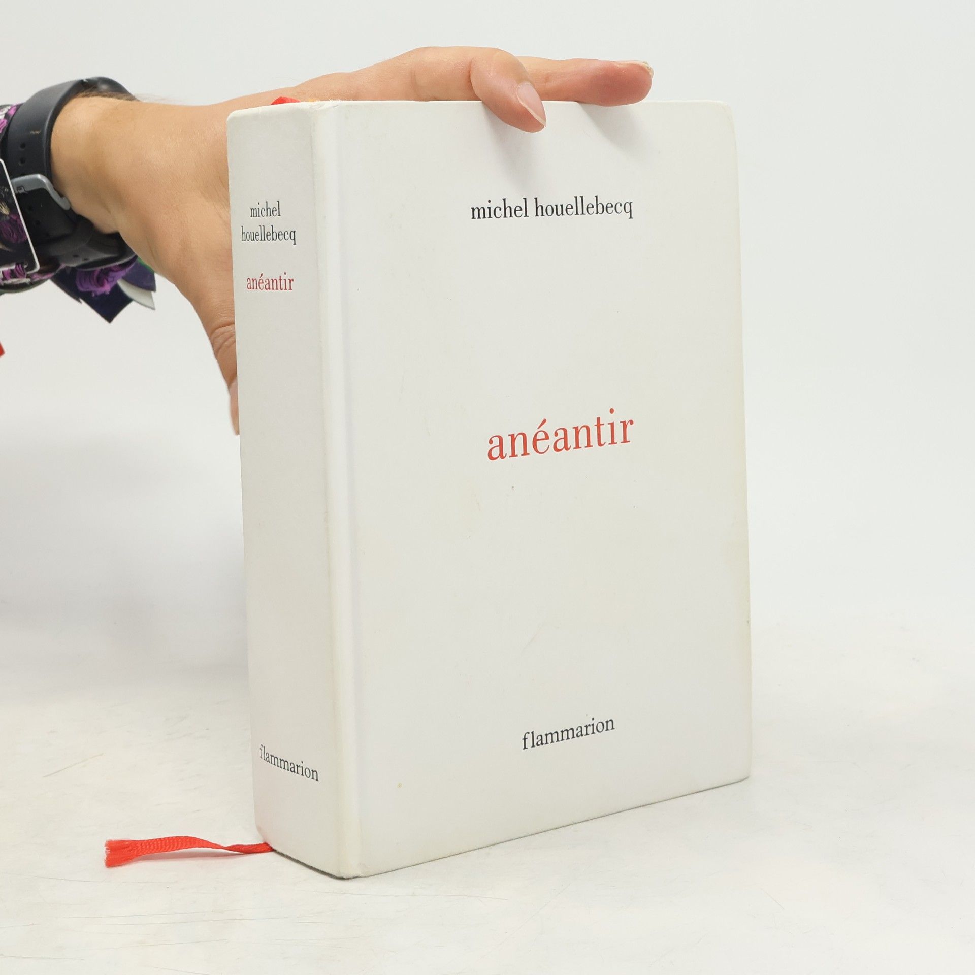 Michel Houellebecq Anéantir