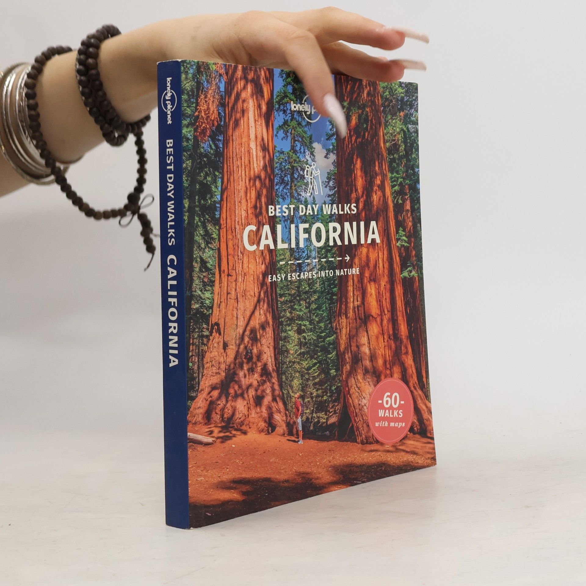 Lonely Planet Lonely Planet Best Day Walks California