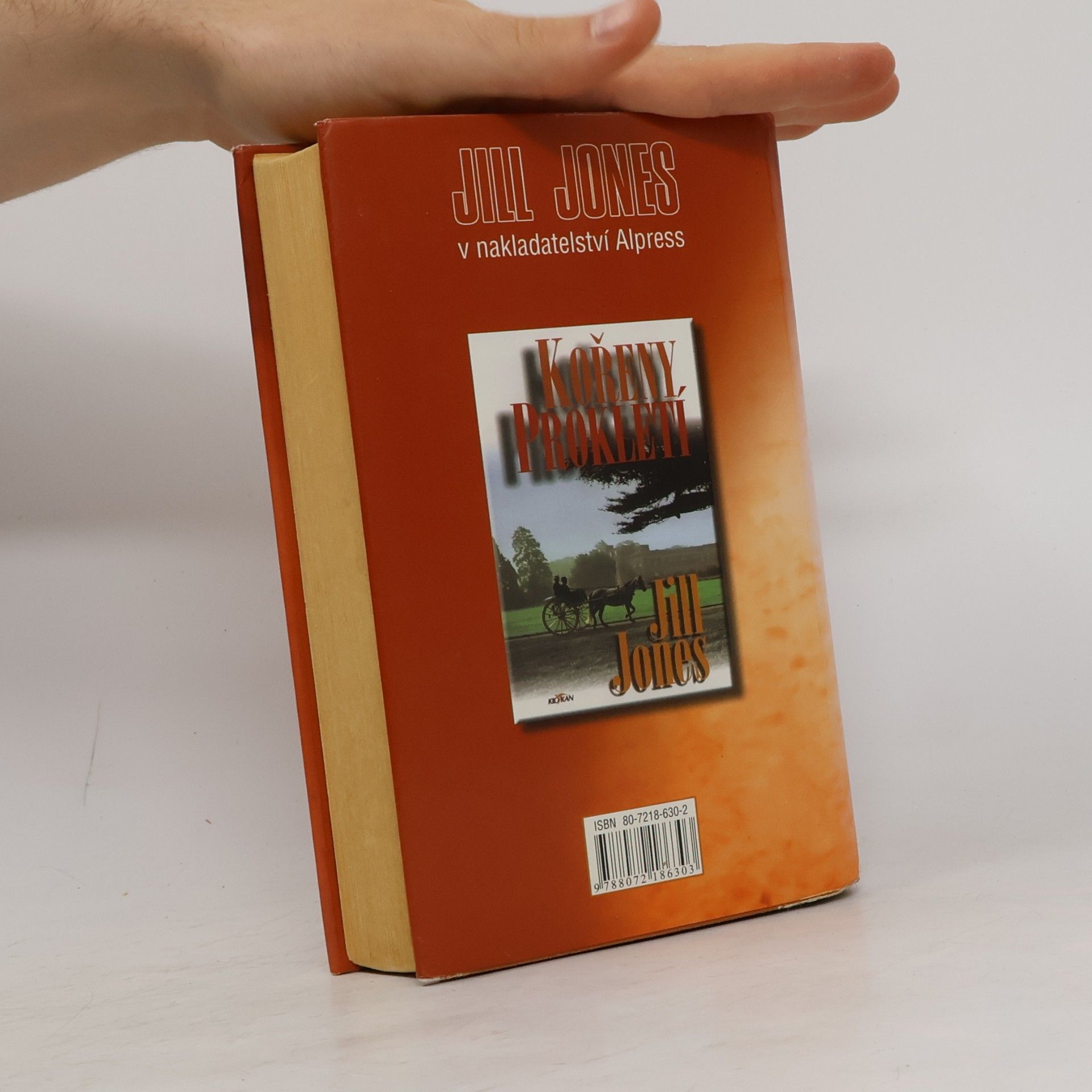 Jill Jones Dračí ukolébavka