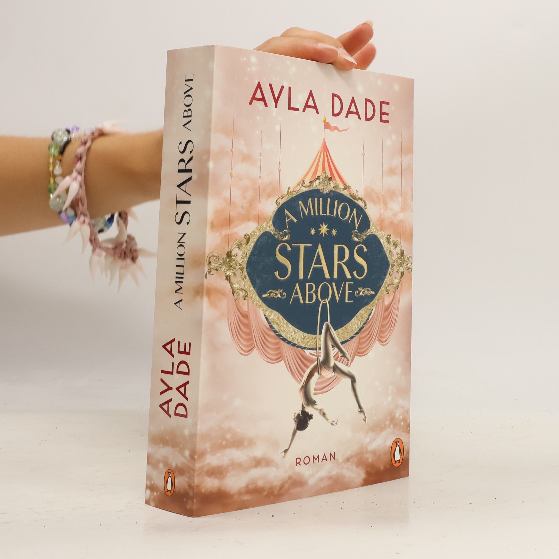 Ayla Dade A Million Stars Above / Sky Circus Bd.1