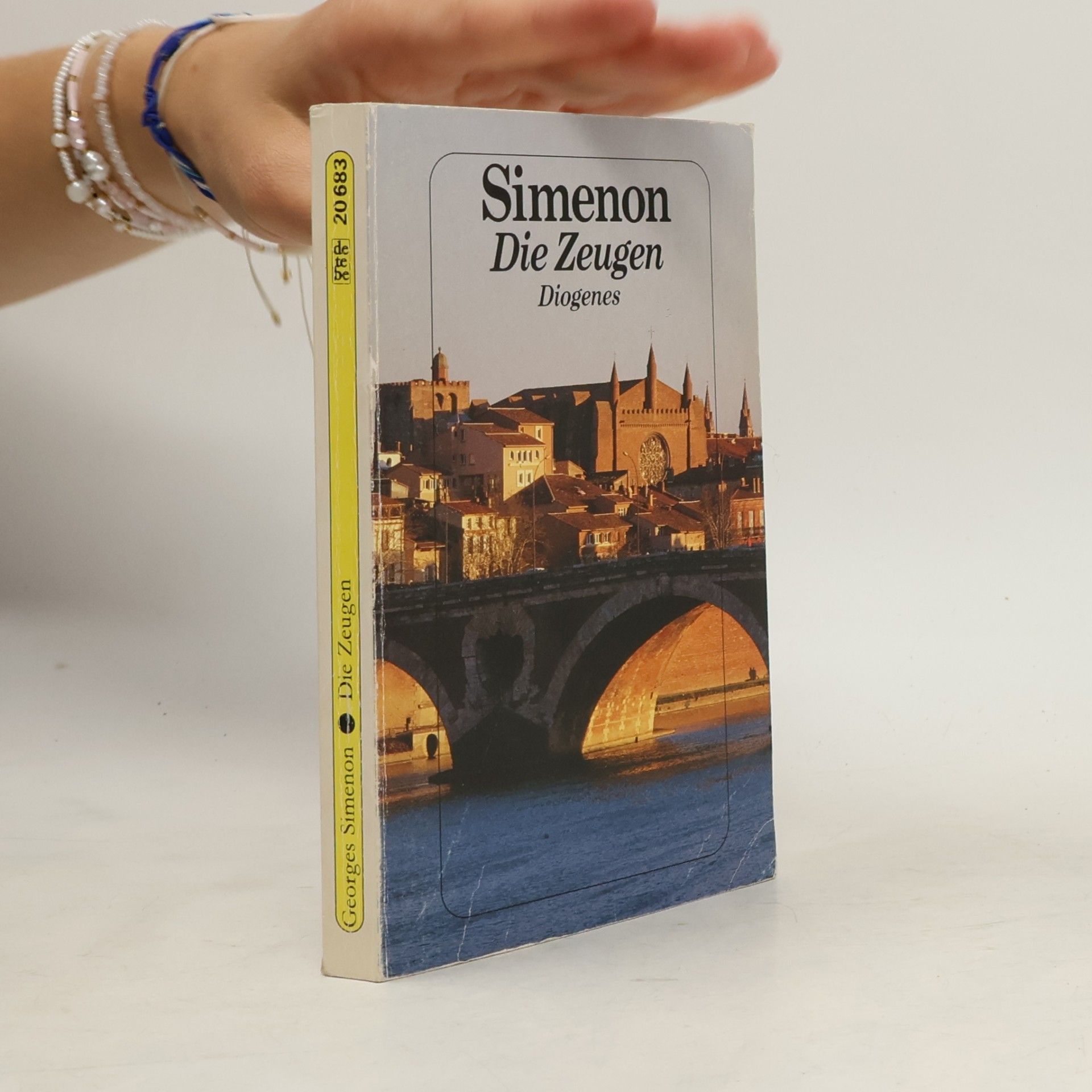 Georges Simenon Die Zeugen