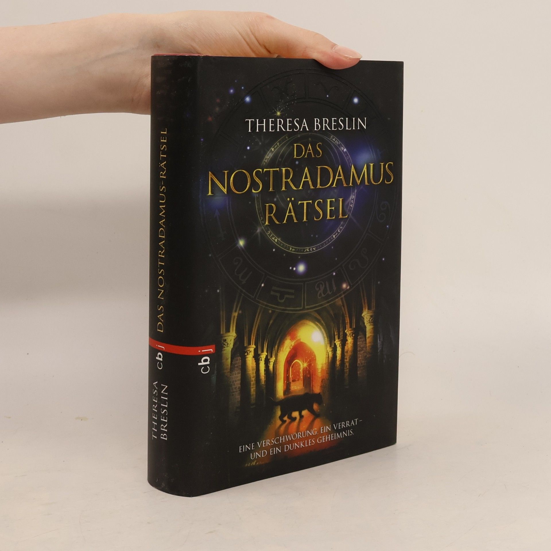 Theresa Breslin Das Nostradamus-Rätsel