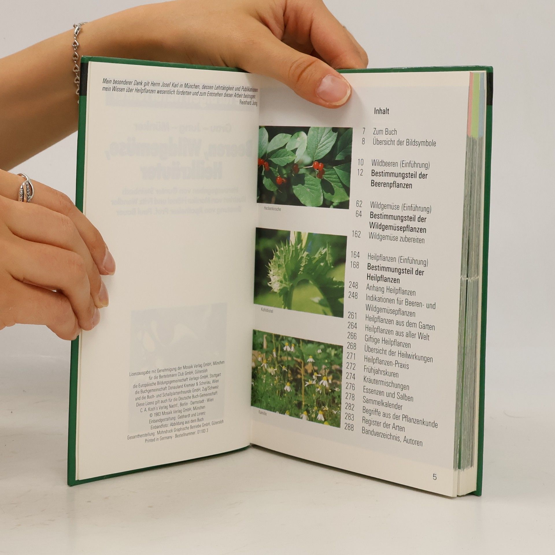 Auteurscollectief Beeren, Wildgemüse, Heilkräuter