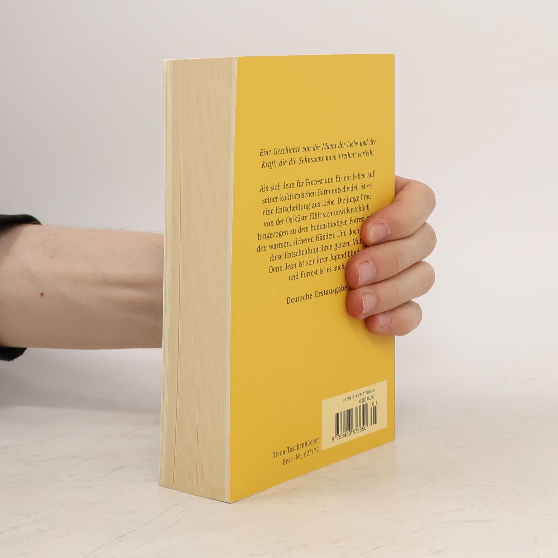 Susan Vreeland Das Gesicht der Liebe