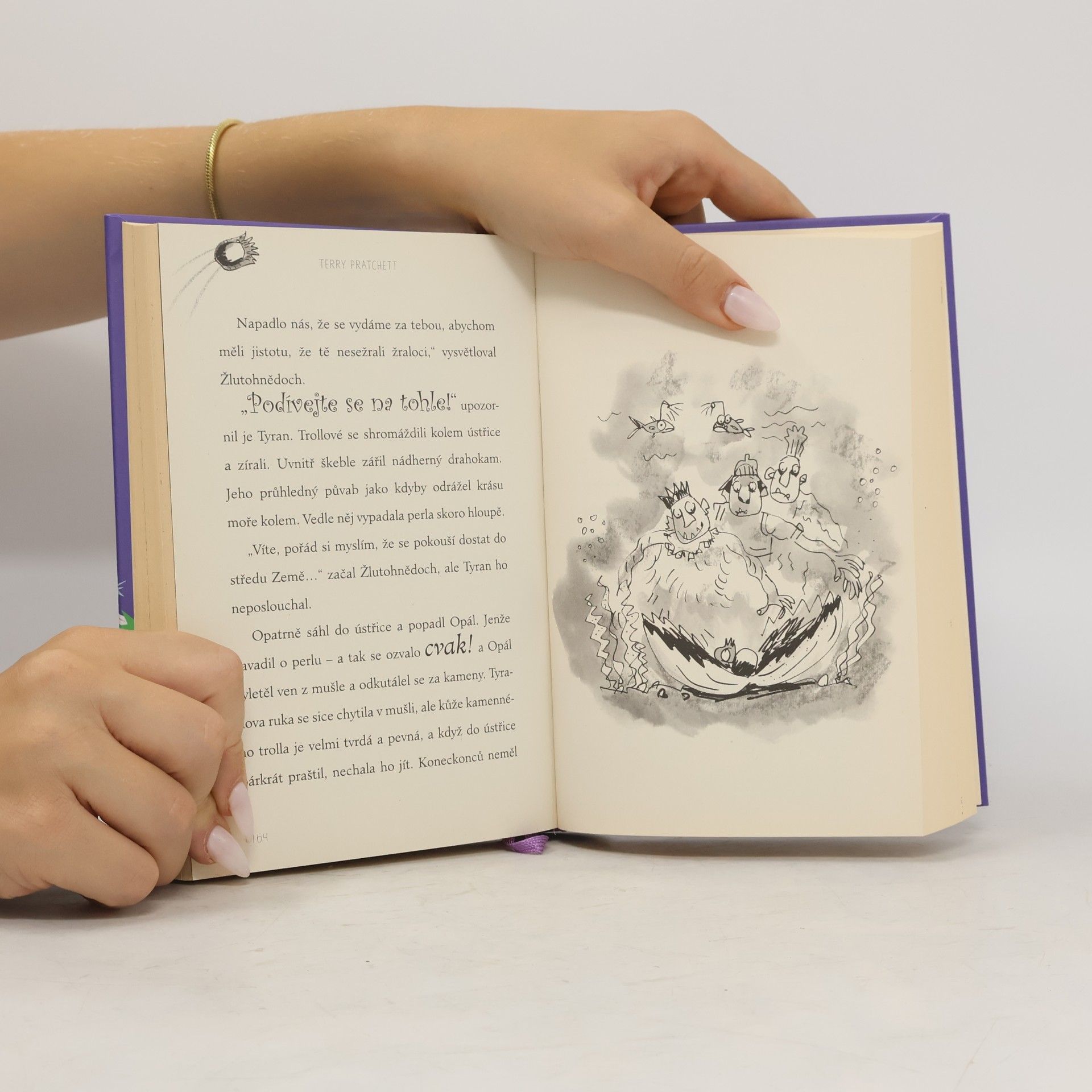 Terry Pratchett Ježibabin vysavač a jiné příběhy