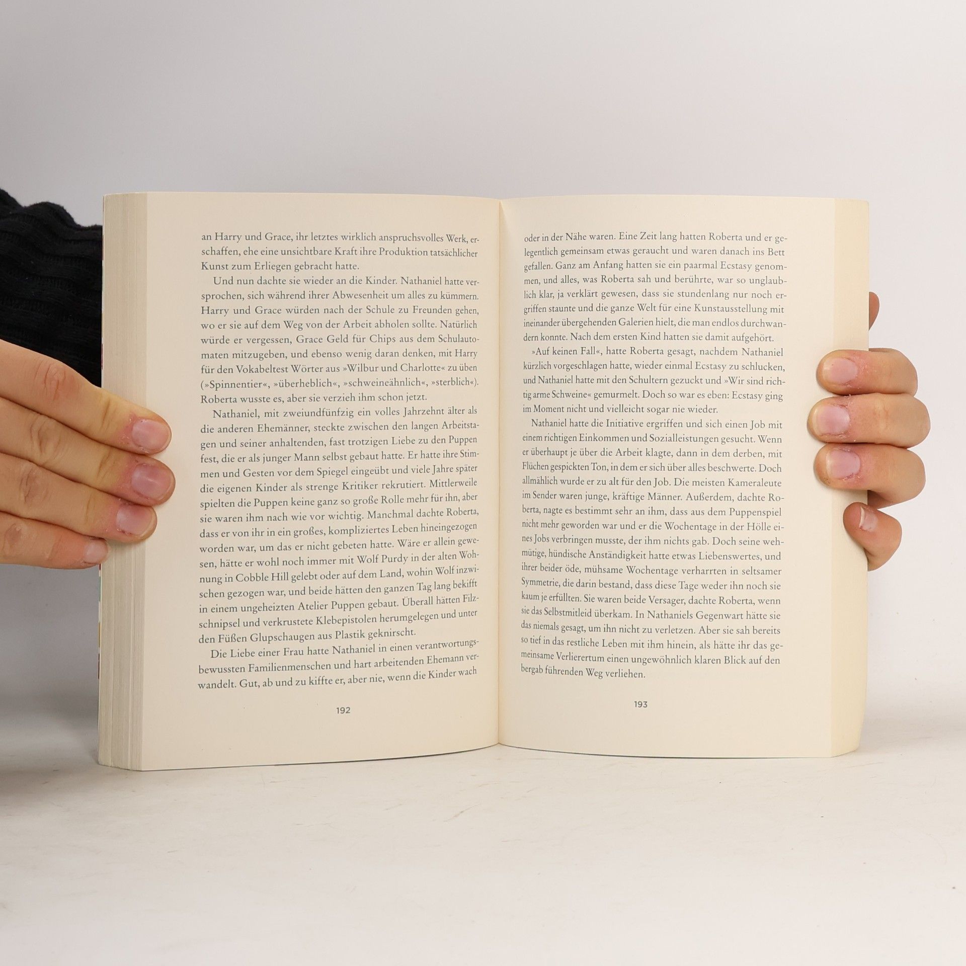 Meg Wolitzer Die Zehnjahrespause
