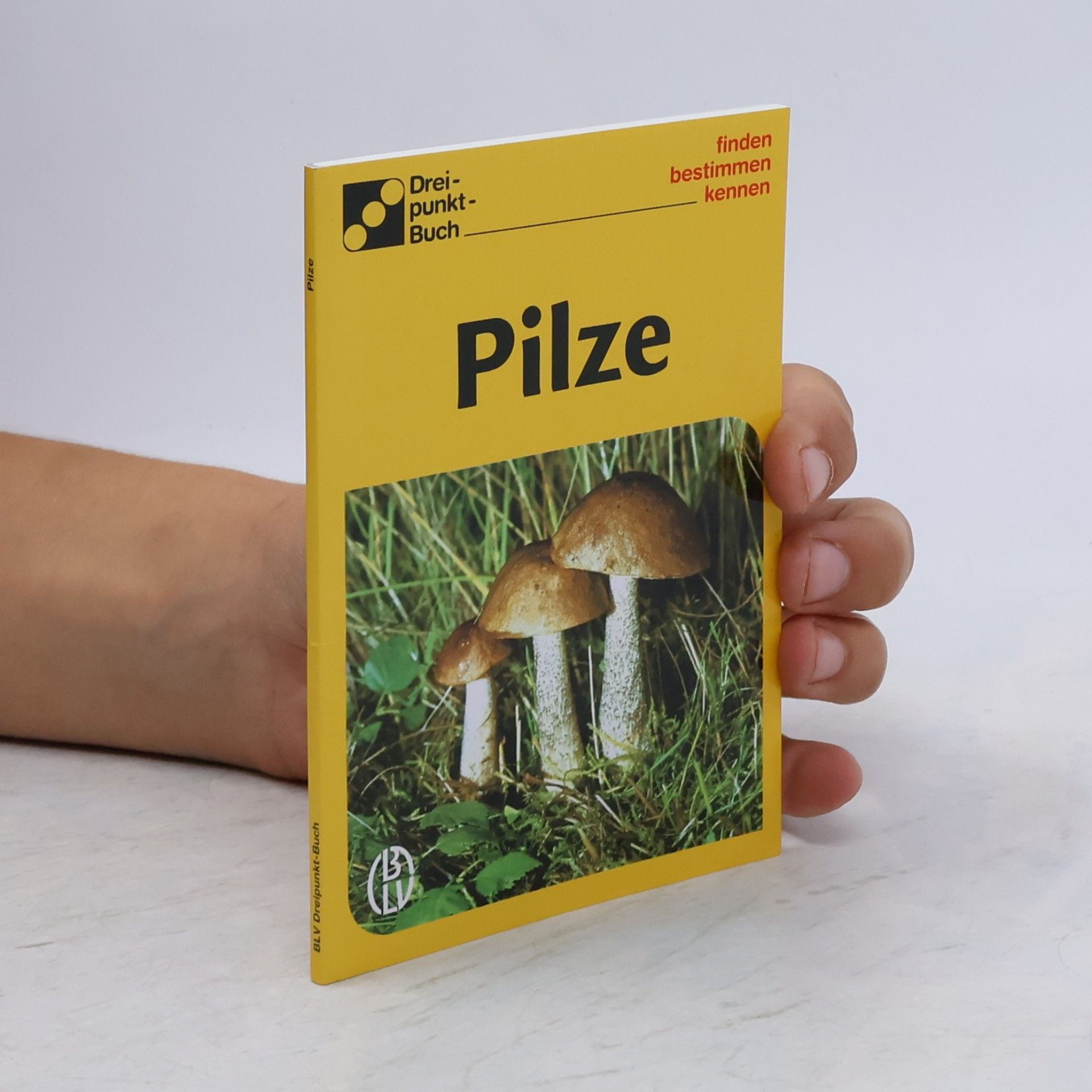 Alfred Handel Pilze