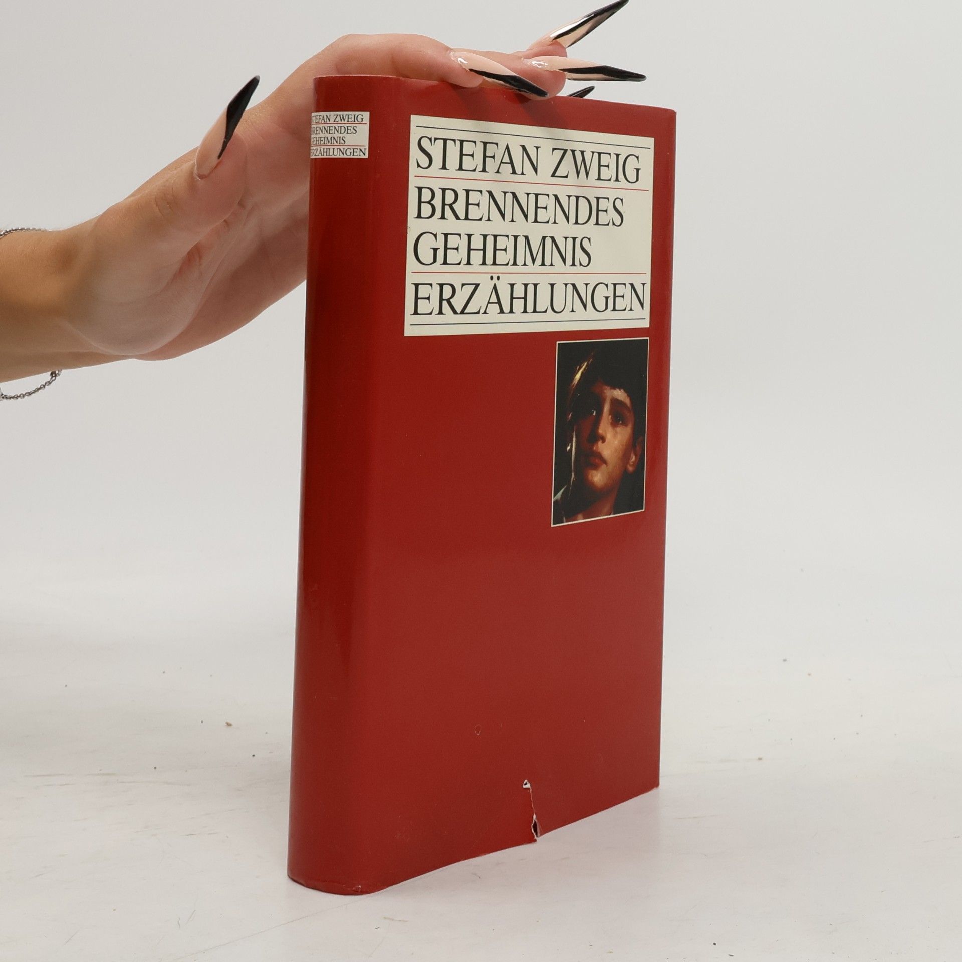 Stefan Zweig Brennendes Geheimnis