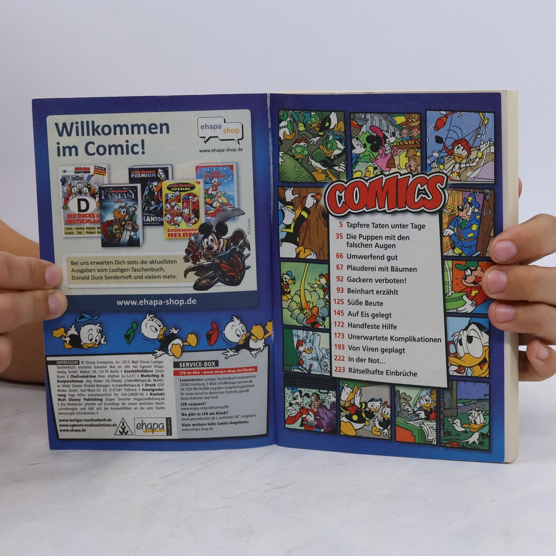 Walt Disney Lustiges Taschenbuch 445. Ein Traum von Ferien