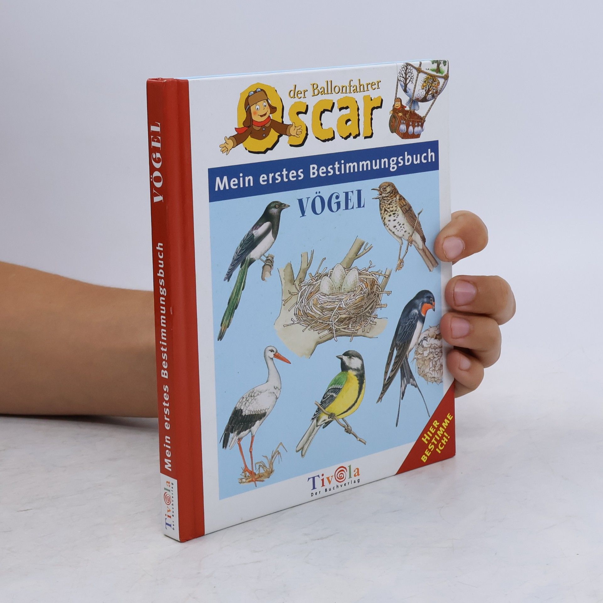 Autorenkollektiv Mein erstes Bestimmungsbuch Vögel. Hier bestimme ich! Bilderbuch