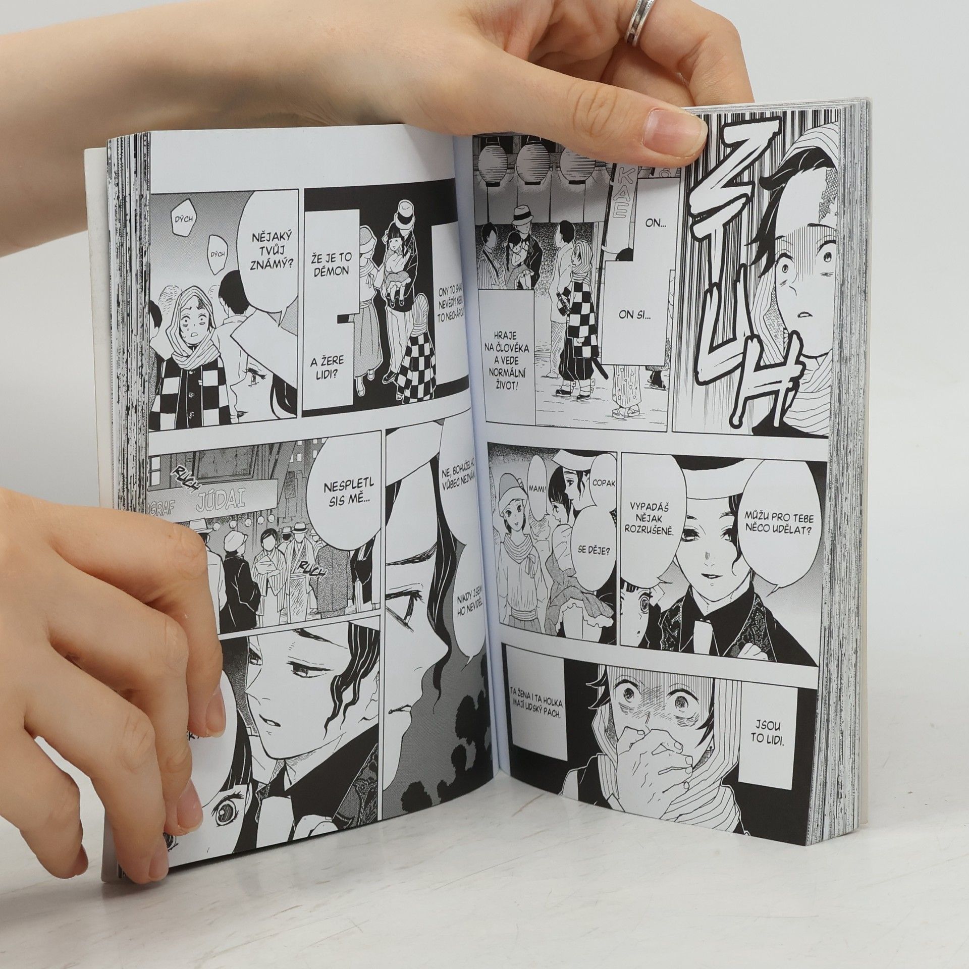 Koyoharu Gotōge Zabiják démonů. 2, To ty...