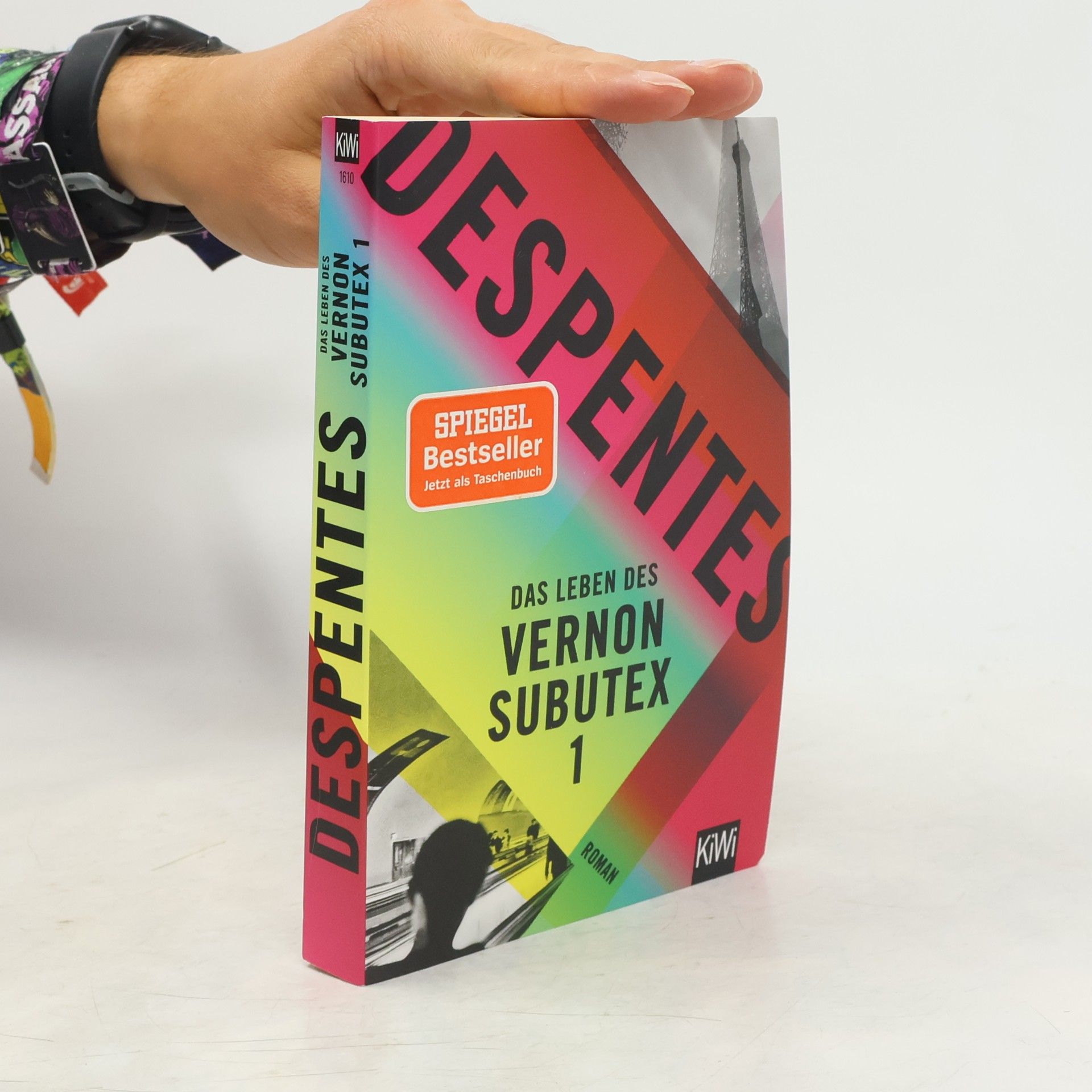 Virginie Despentes Das Leben des Vernon Subutex 1