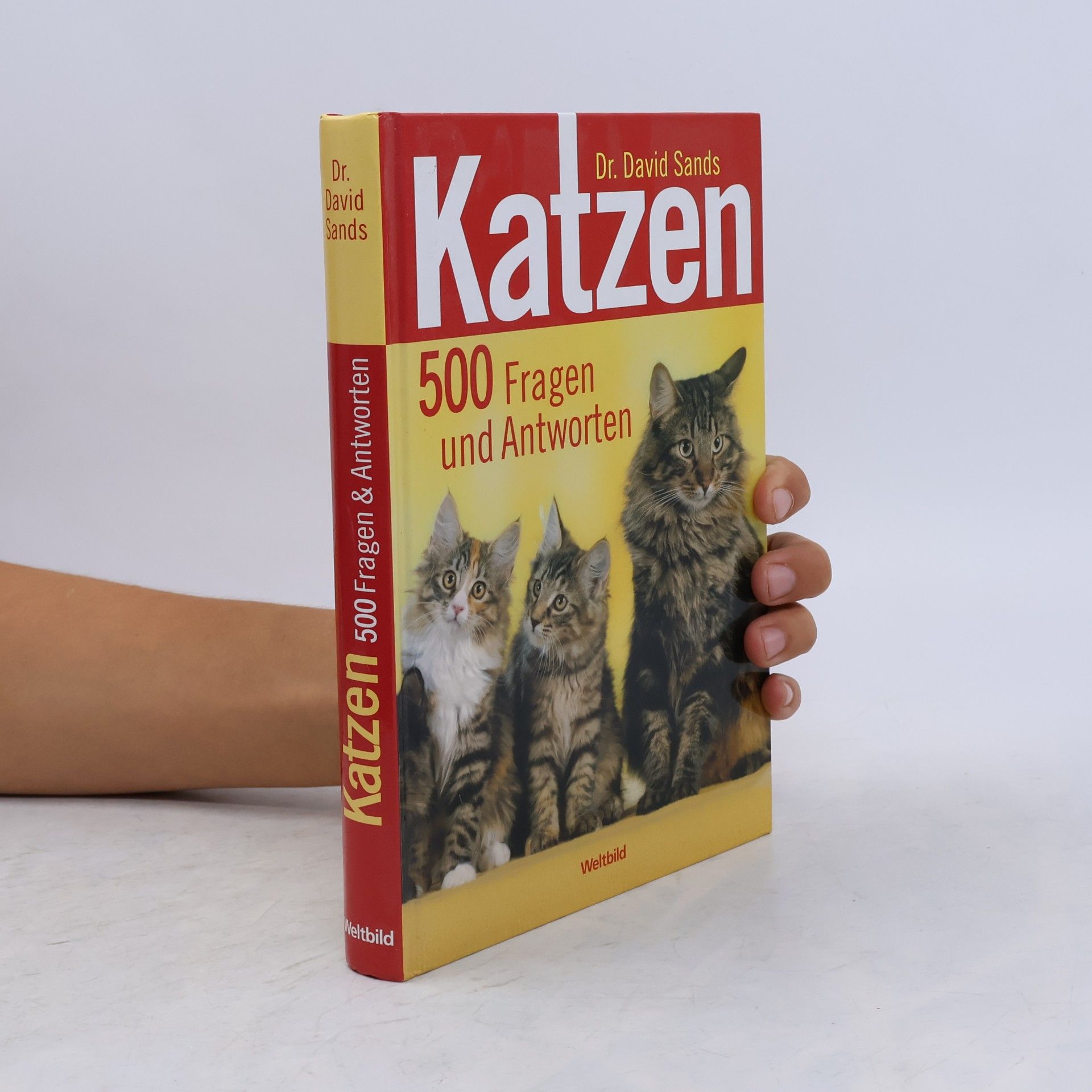 David Sands Katzen