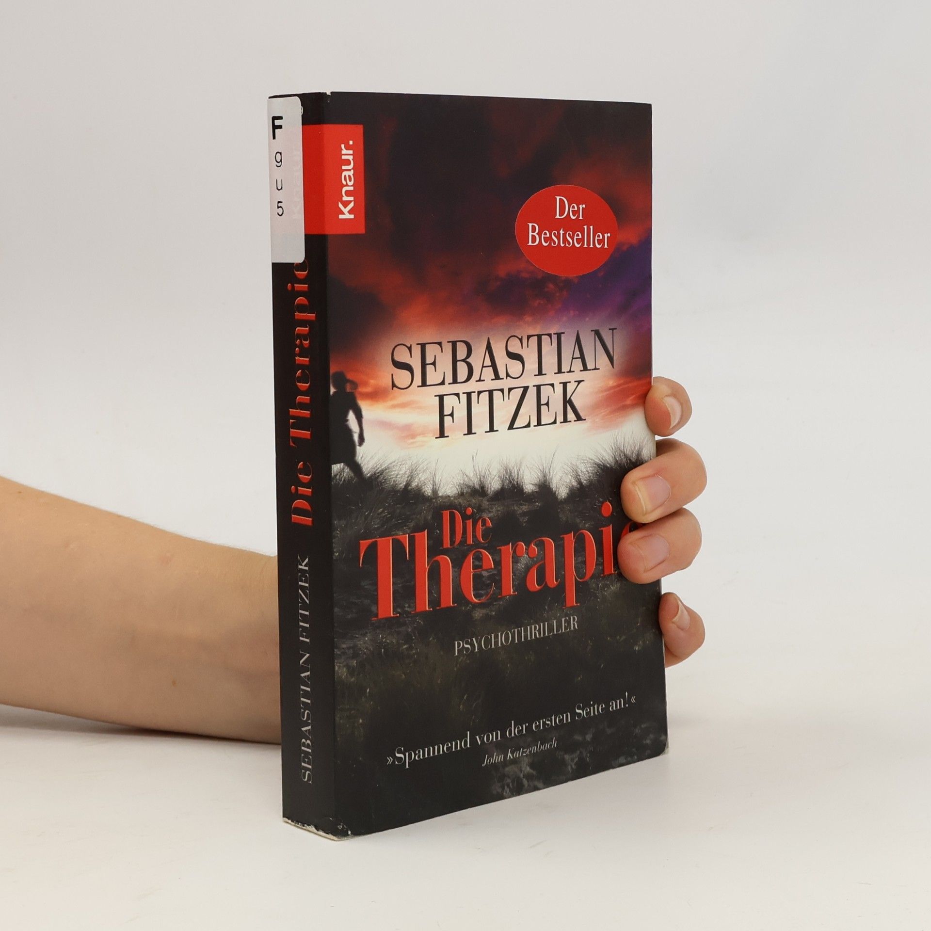 Sebastian Fitzek Die Therapie