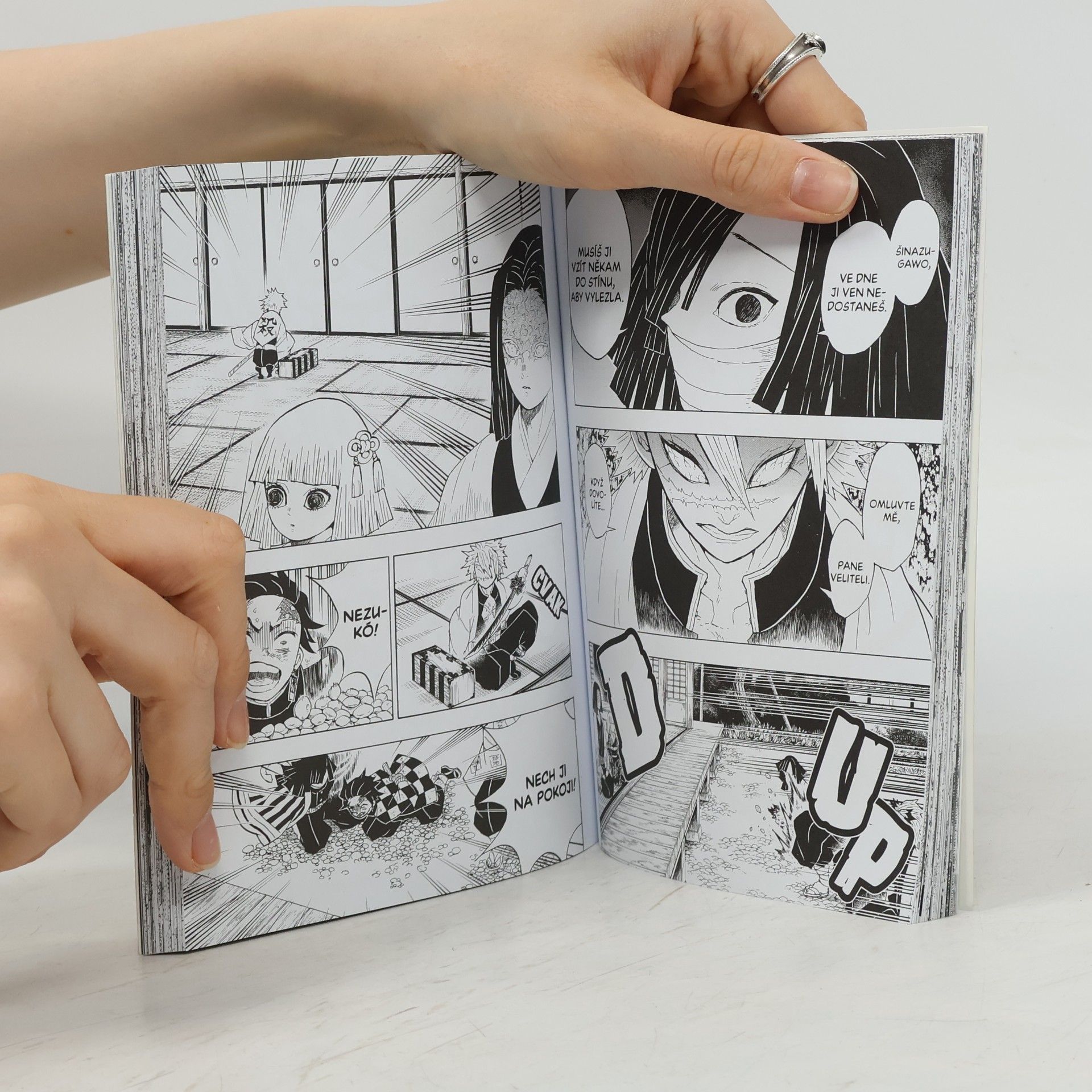Koyoharu Gotōge Zabiják démonů. 6, Soud Pilířů