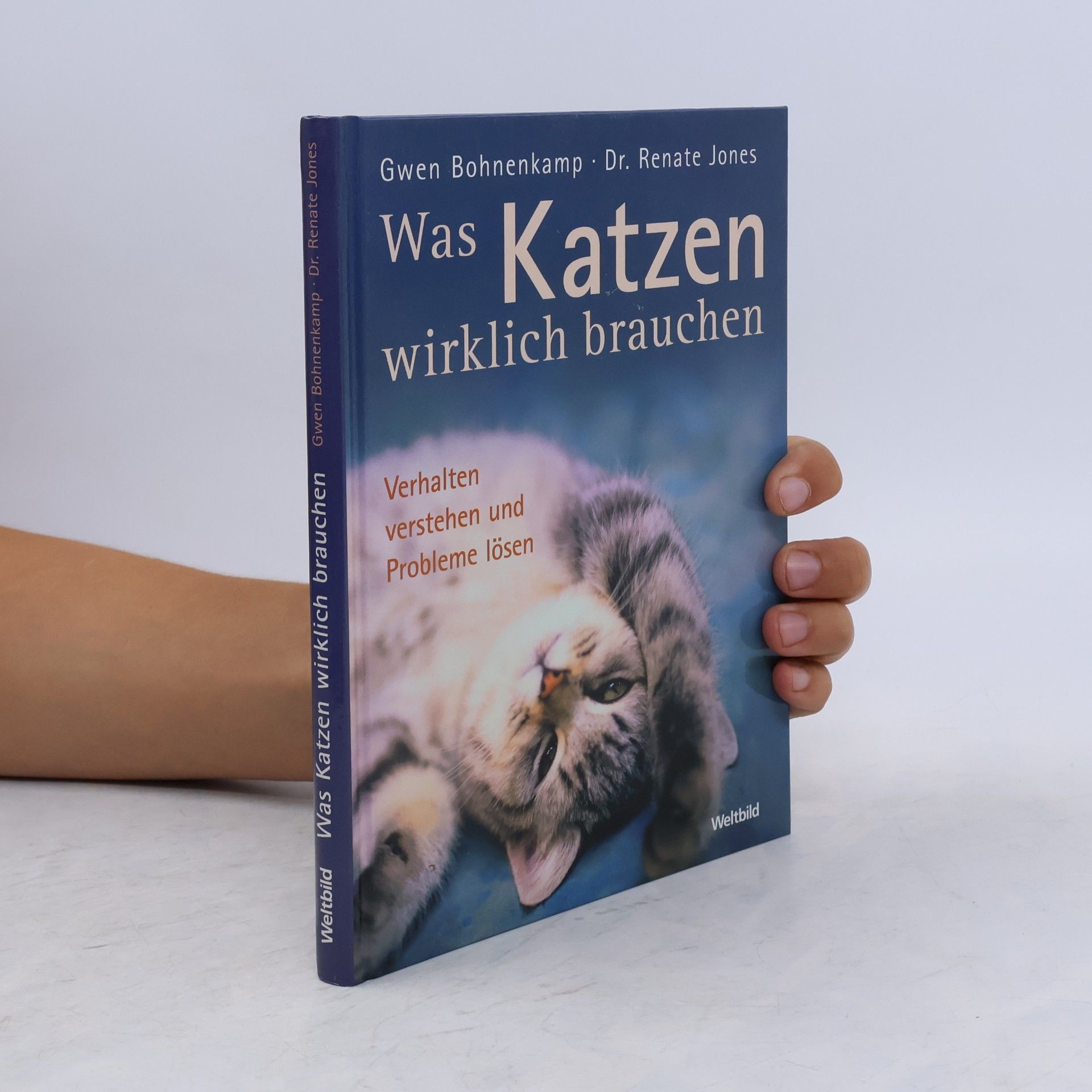Gwen Bohnenkamp Was Katzen wirklich brauchen