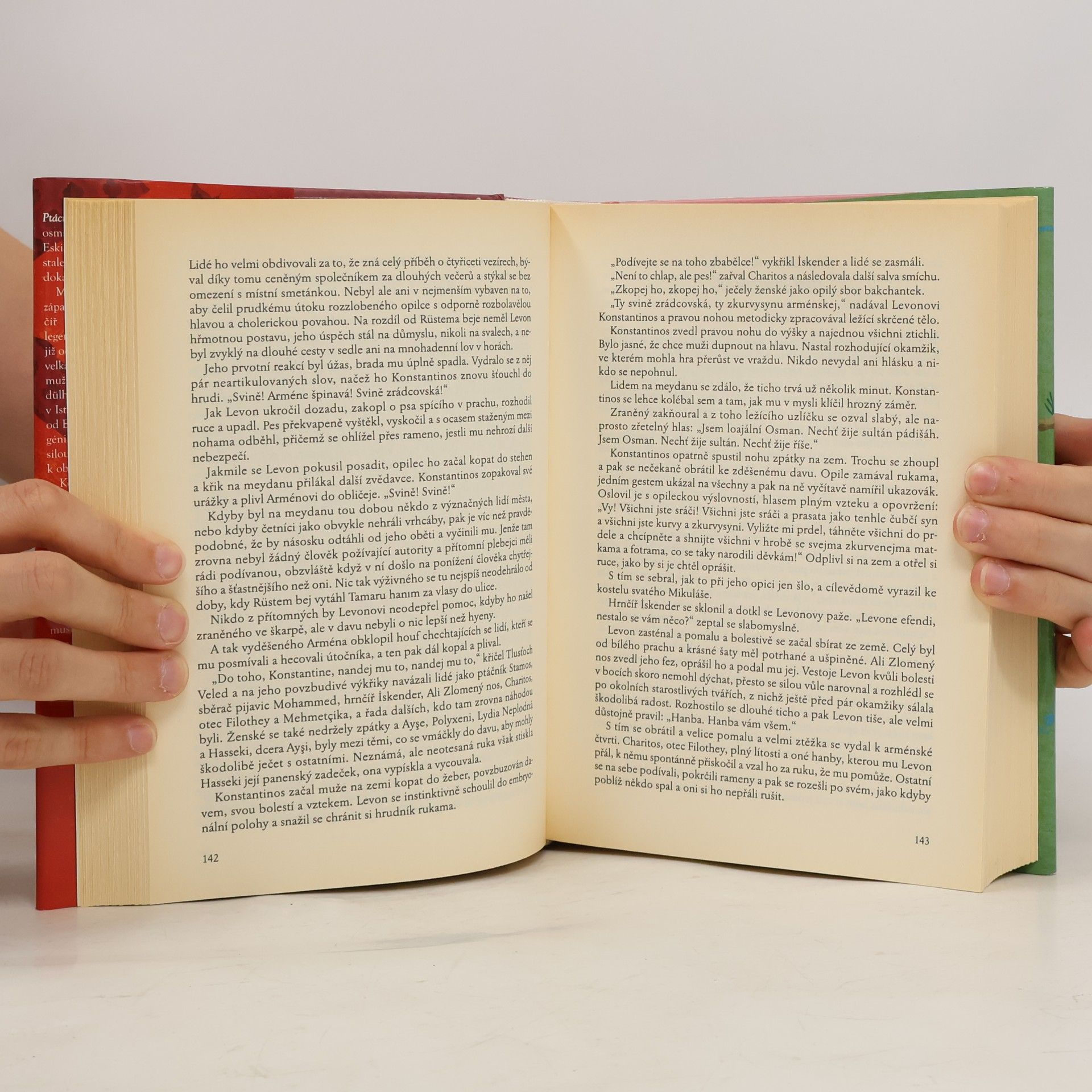 Louis de Bernieres Ptáci bez křídel