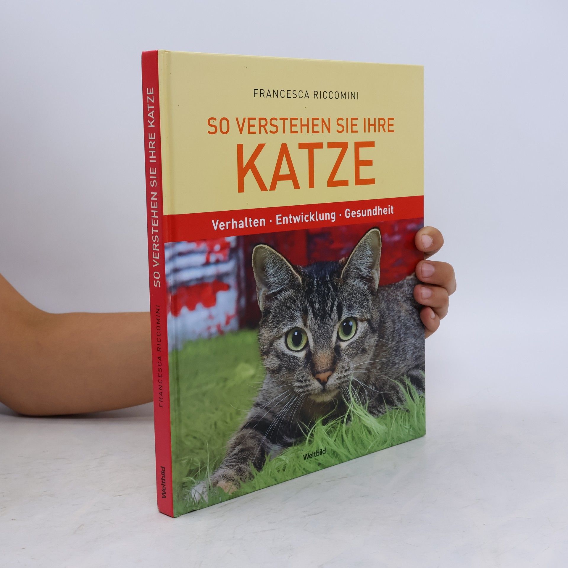 Francesca Riccomini So verstehen Sie Ihre Katze