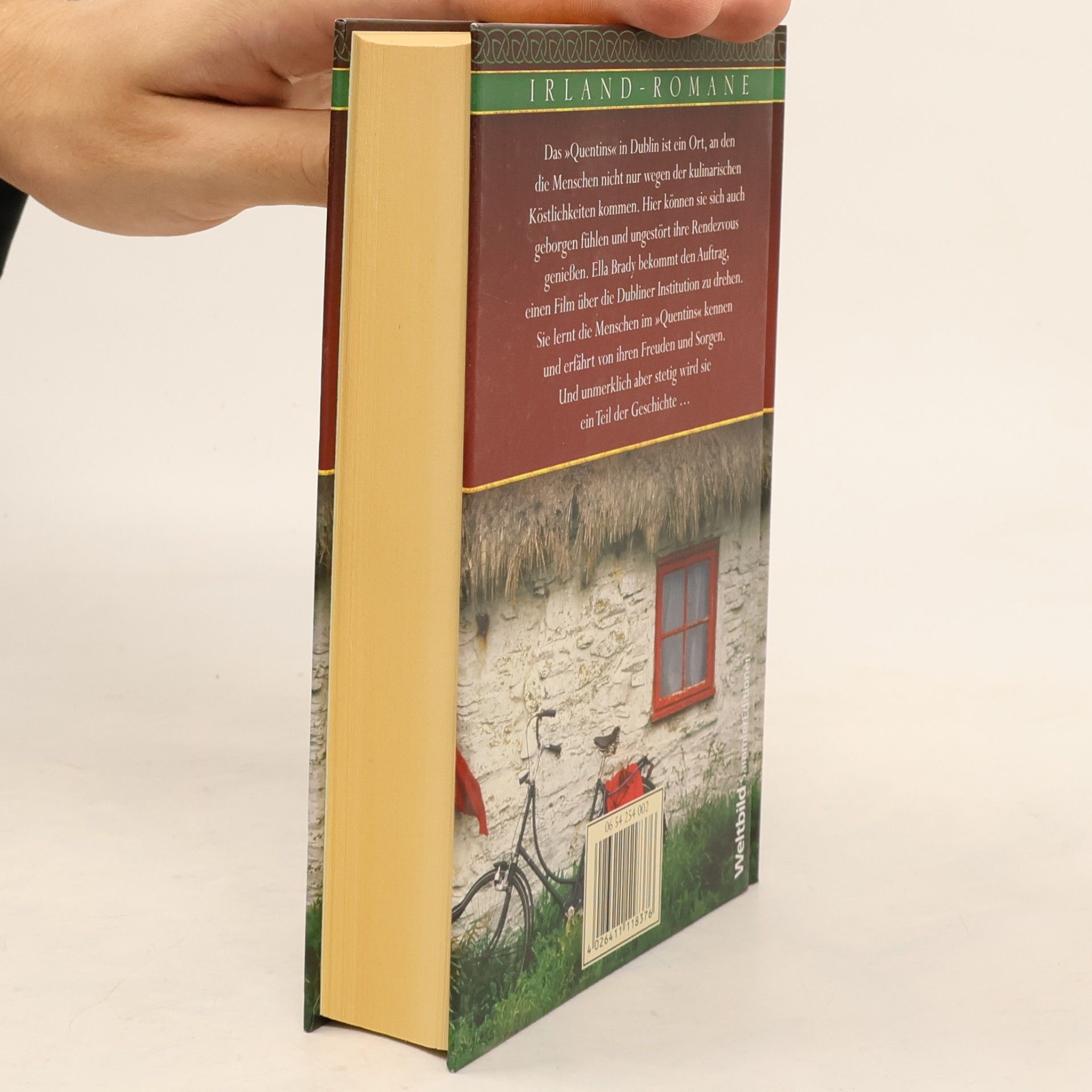 Maeve Binchy Wiedersehen bei Brenda